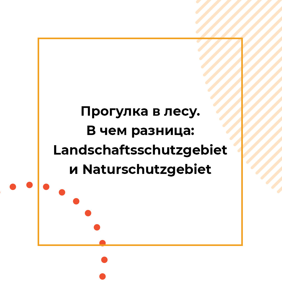 Instagram. Рекламное агентство в Германии