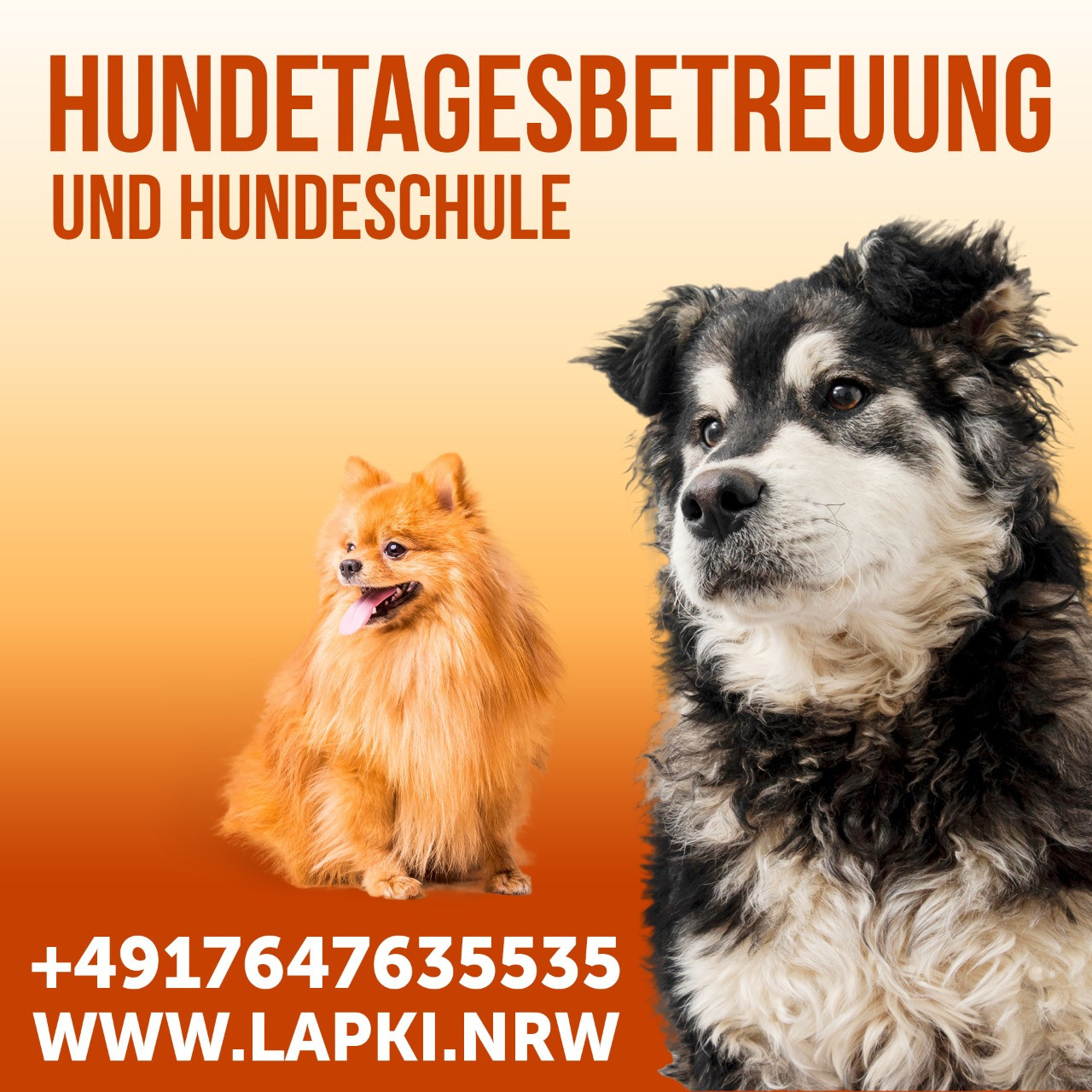 Баннеры. Рекламное агентство в Германии