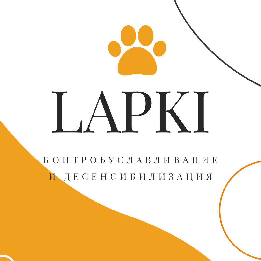 Instagram. Рекламное агентство в Германии