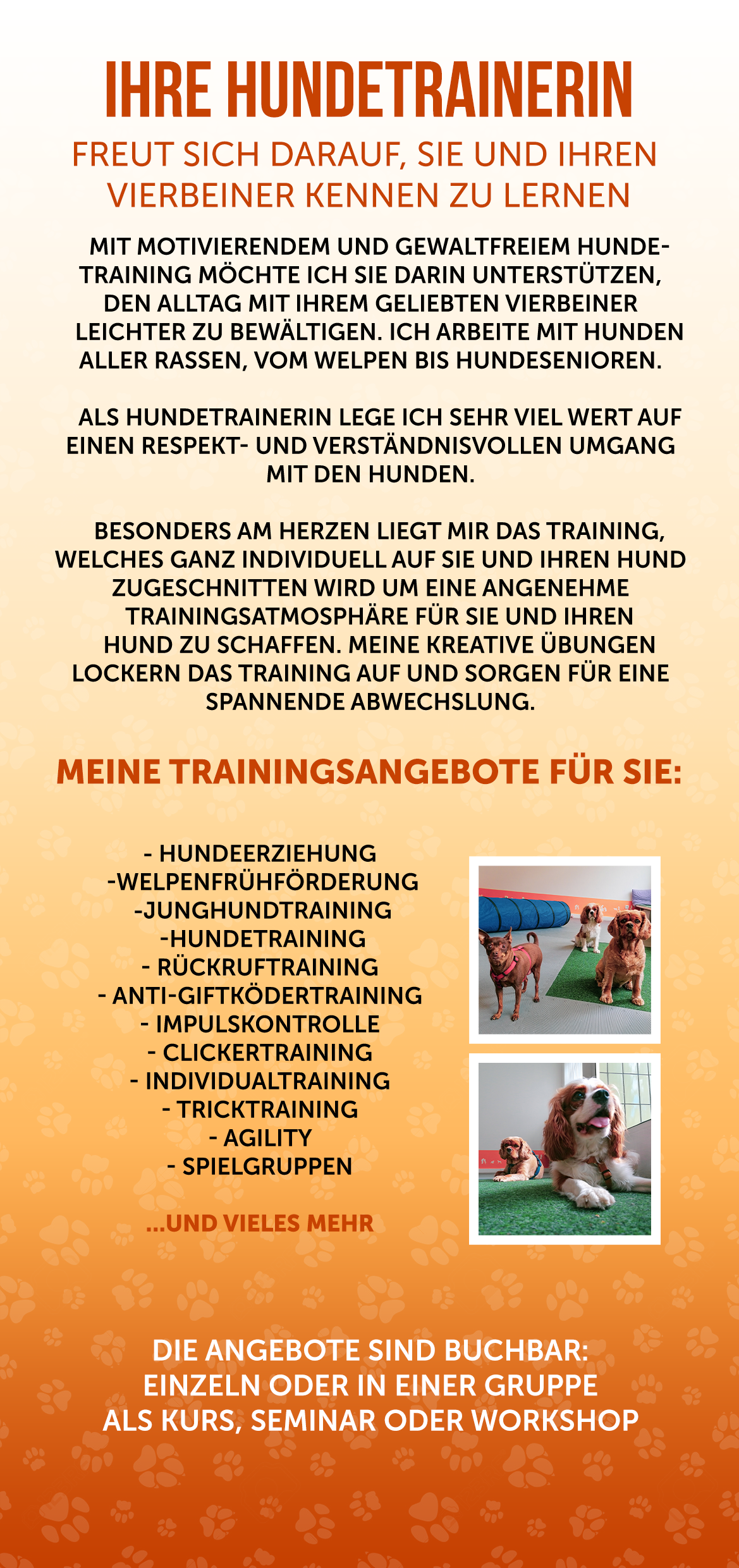 Буклеты. Брошюры. Каталоги. Рекламное агентство в Германии