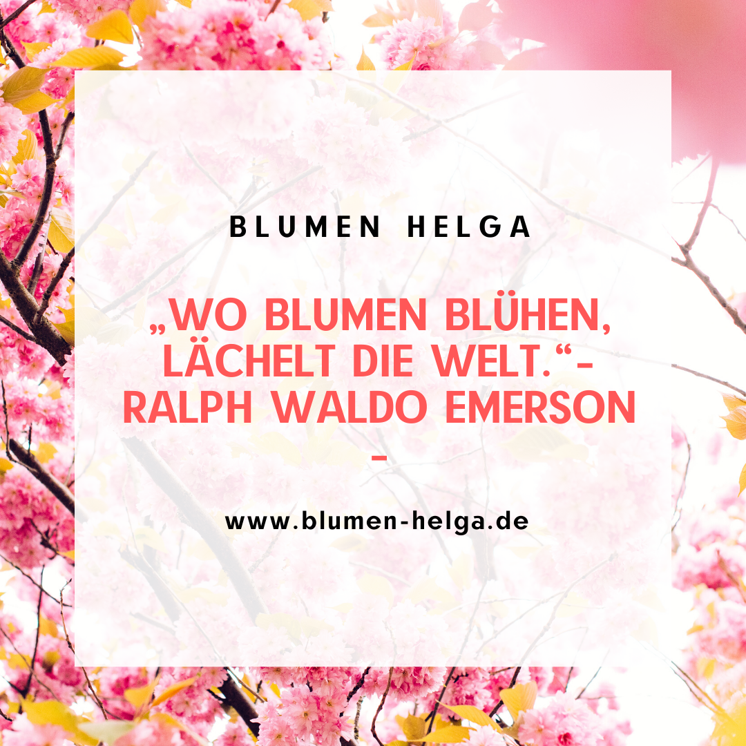 Instagram. Рекламное агентство в Германии