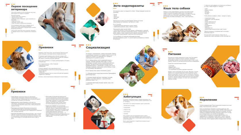 Буклеты. Брошюры. Каталоги. Рекламное агентство в Германии