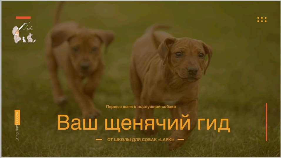 Буклеты. Брошюры. Каталоги. Рекламное агентство в Германии