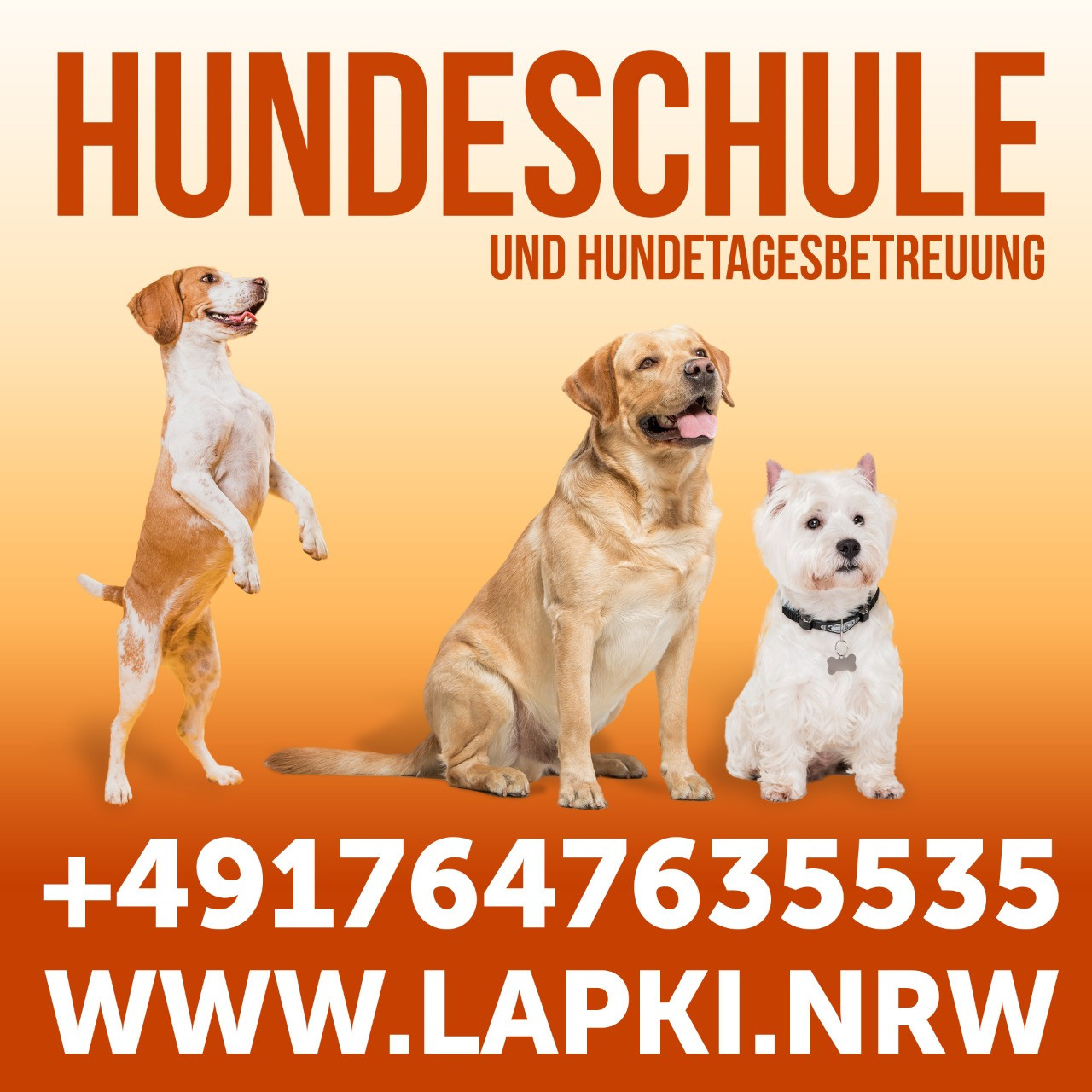 Баннеры. Рекламное агентство в Германии