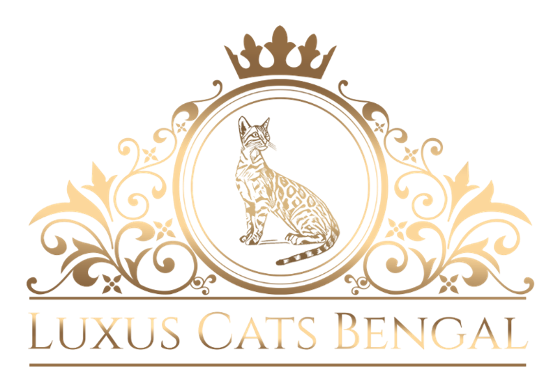 Логотипы. Рекламное агентство в Германии