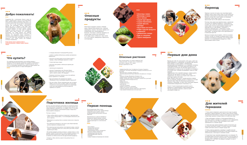 Буклеты. Брошюры. Каталоги. Рекламное агентство в Германии