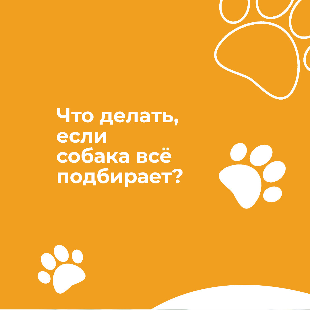 Instagram. Рекламное агентство в Германии