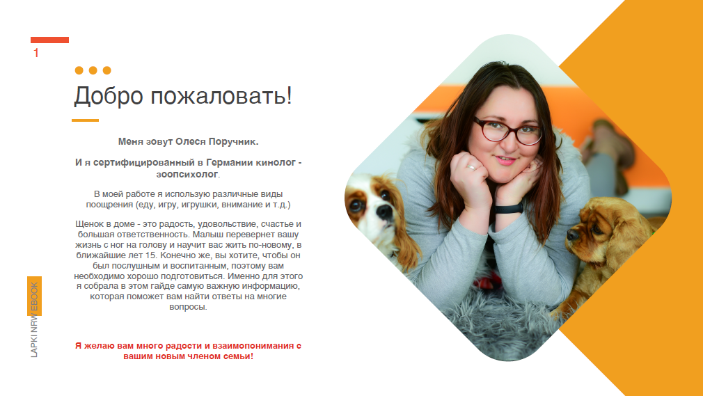 Буклеты. Брошюры. Каталоги. Рекламное агентство в Германии