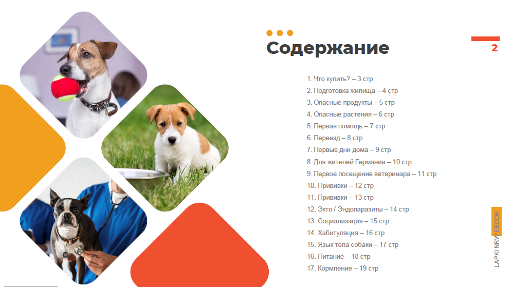 Буклеты. Брошюры. Каталоги. Рекламное агентство в Германии