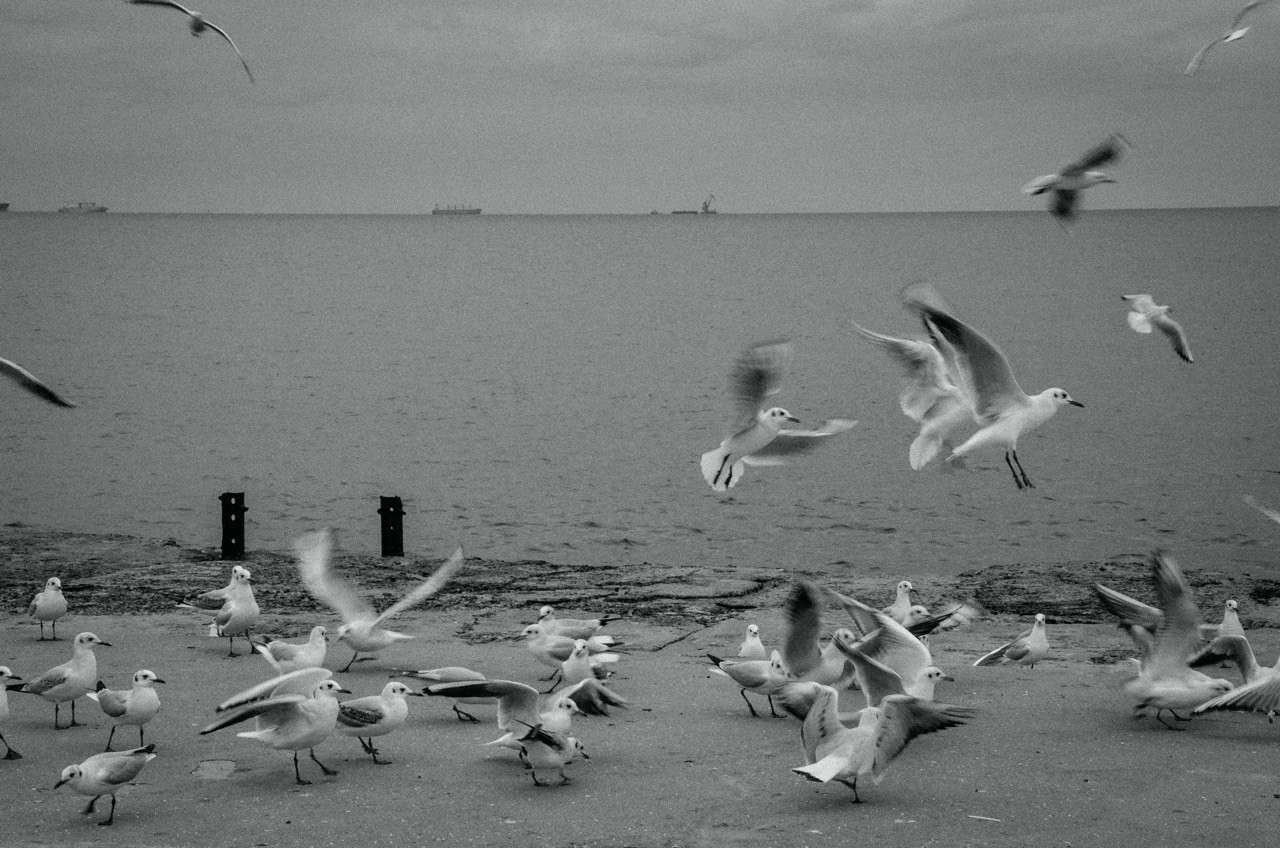 More More. Katerina Kiper Photography