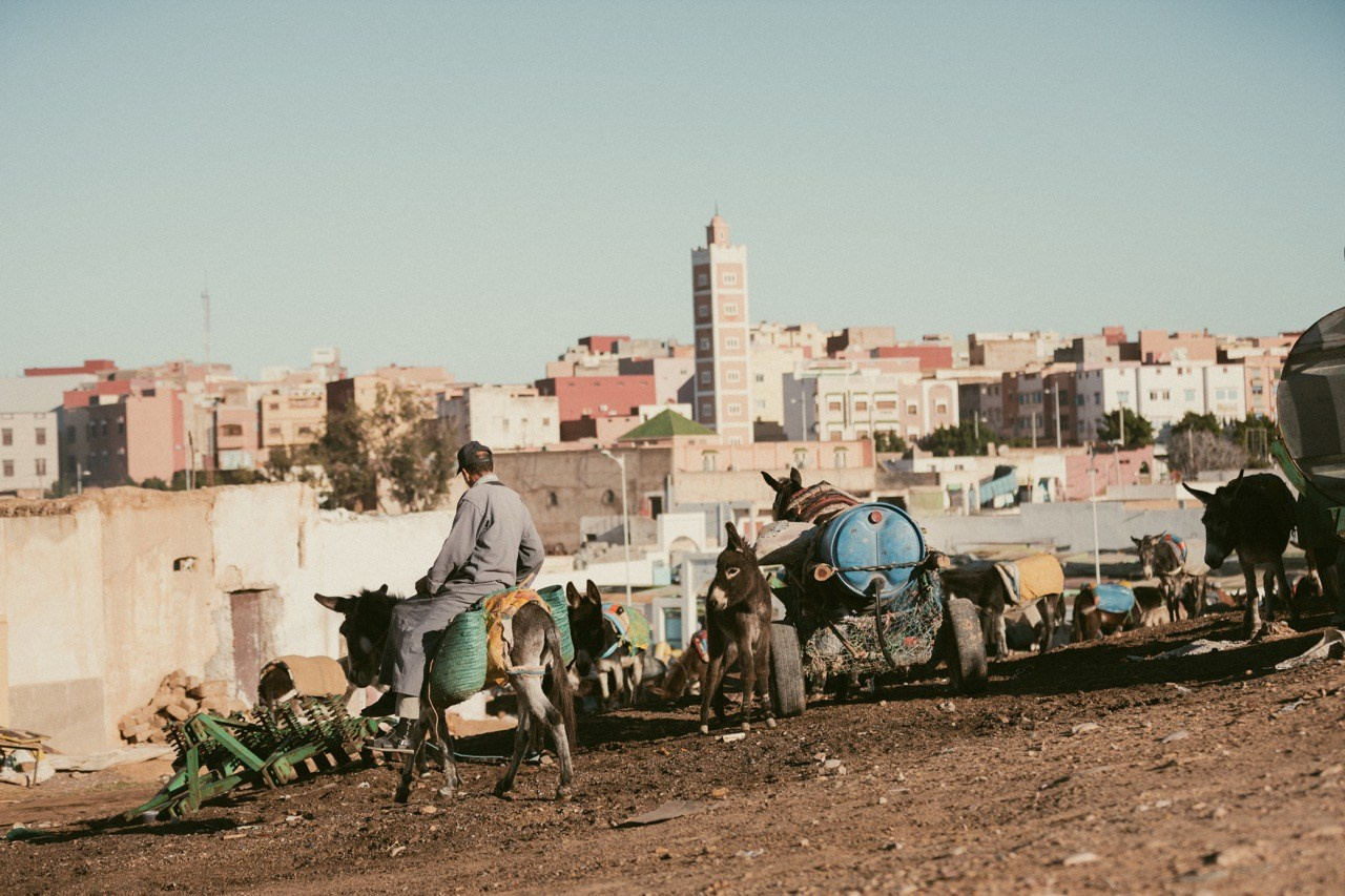 Travel and lifestyle photography. Dana Lišková — Empathetic Photographer | Introspective Artist |Neurodivergent Coach | Founder of Artepy.cz