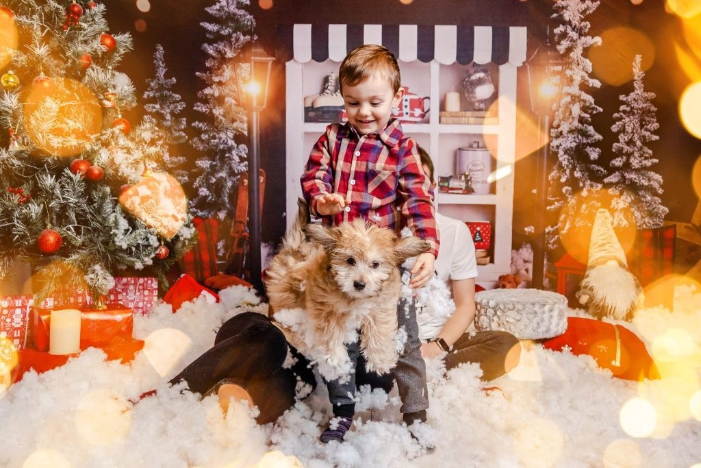 Fotograf profesionist Constanta. Bianca Bechisi - Fotograf profesionist Constanta