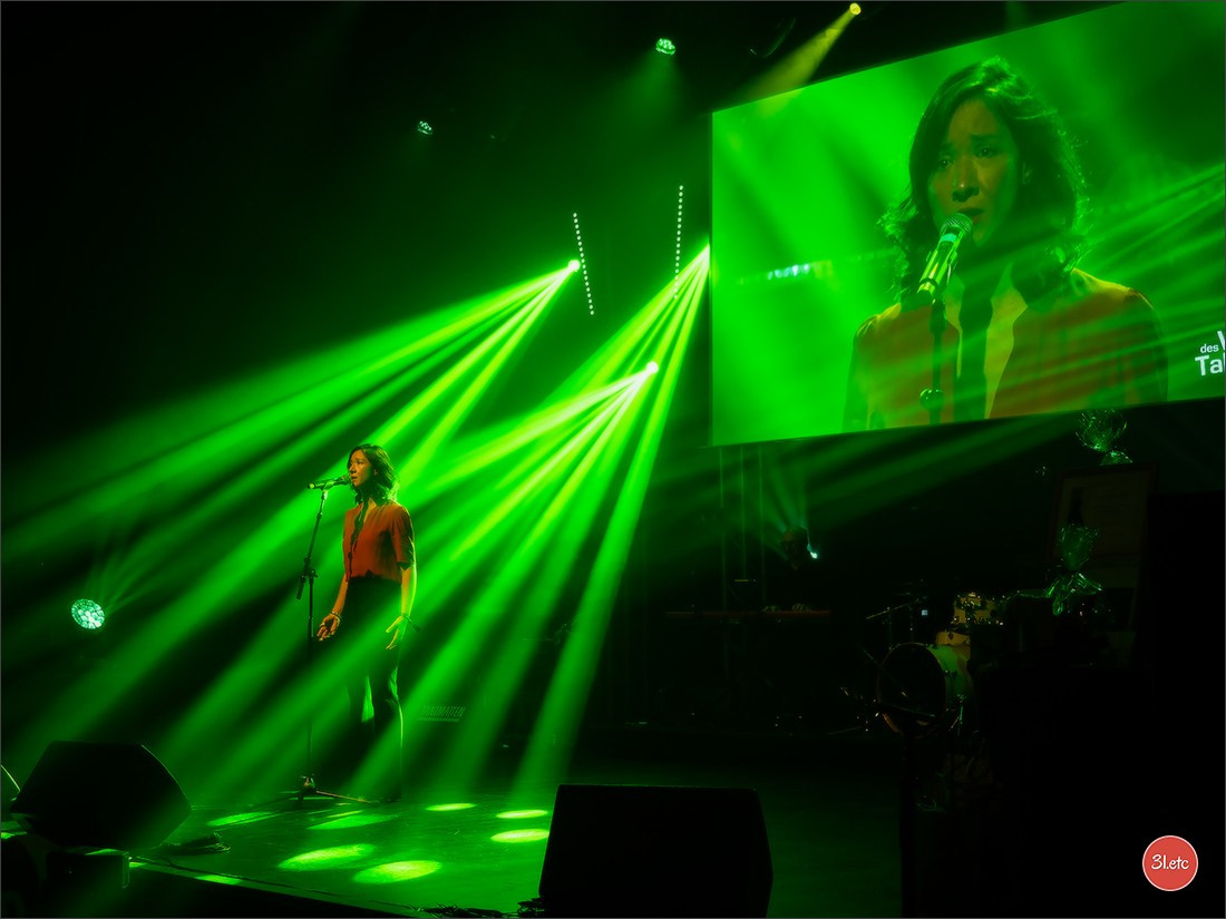 Concerts . Carnavals . Festivals. Photographe à Strasbourg | Portraits, Studio, Enfants, Événements