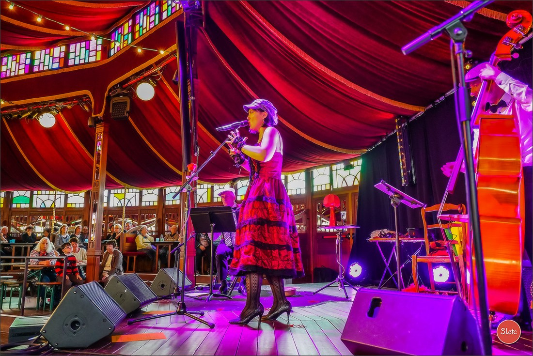 Concerts . Carnavals . Festivals. Photographe à Strasbourg | Portraits, Studio, Enfants, Événements