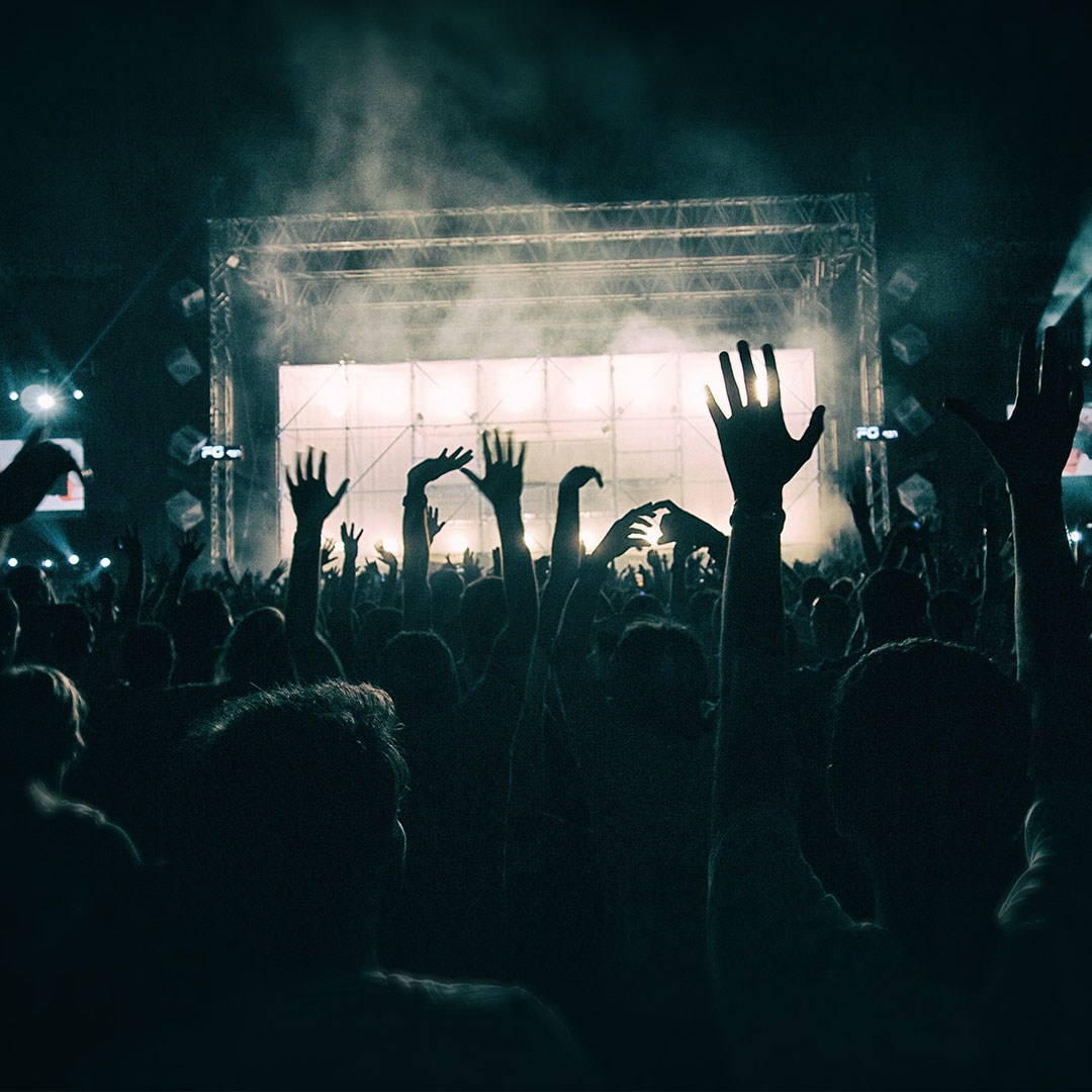 Services. Max D Visuals