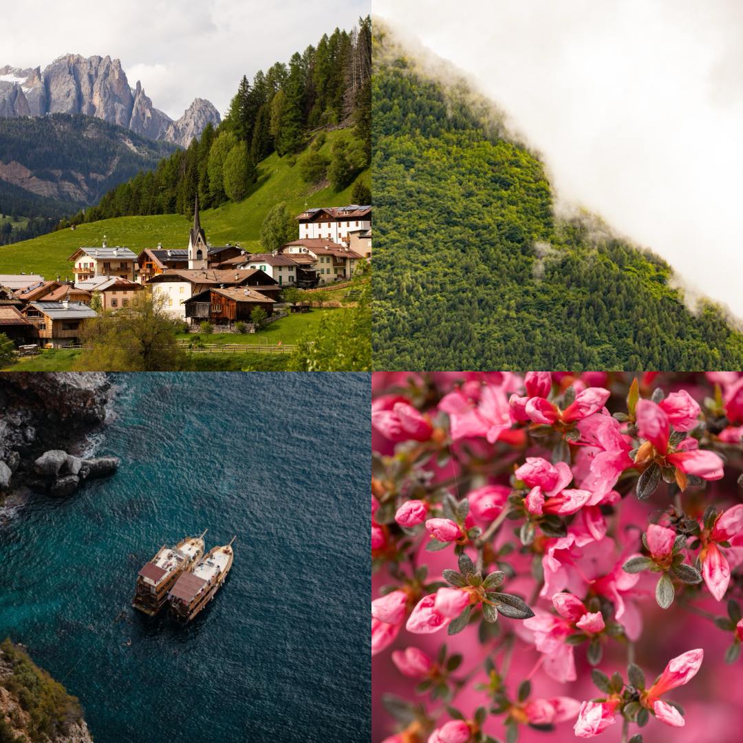 Портфолио. Fotograf și Videograf | Chișinău, Moldova