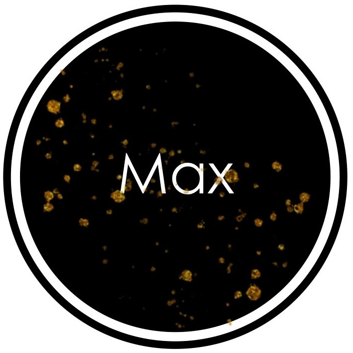 Fotografie. Fotografie und Henna Kunst in Köln — Sylvette Loda