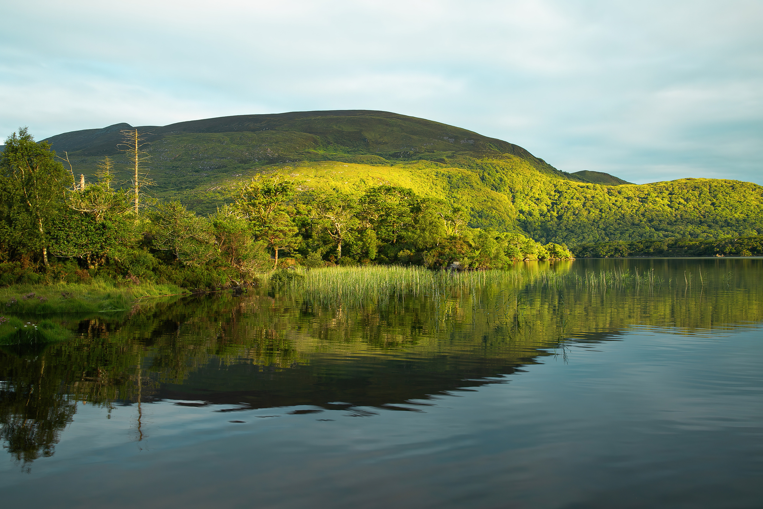 Shop. Communion, Weddings, Maternity, Newborn, Portrait photographer in Ireland