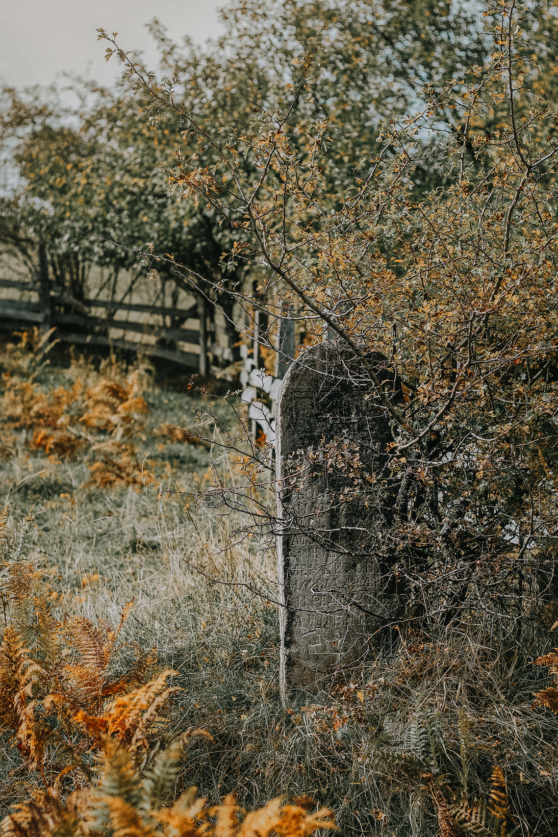 Potraga za svojim korenima. Mark Smilyanic | Portretni boudoir fotograf iz Beograda