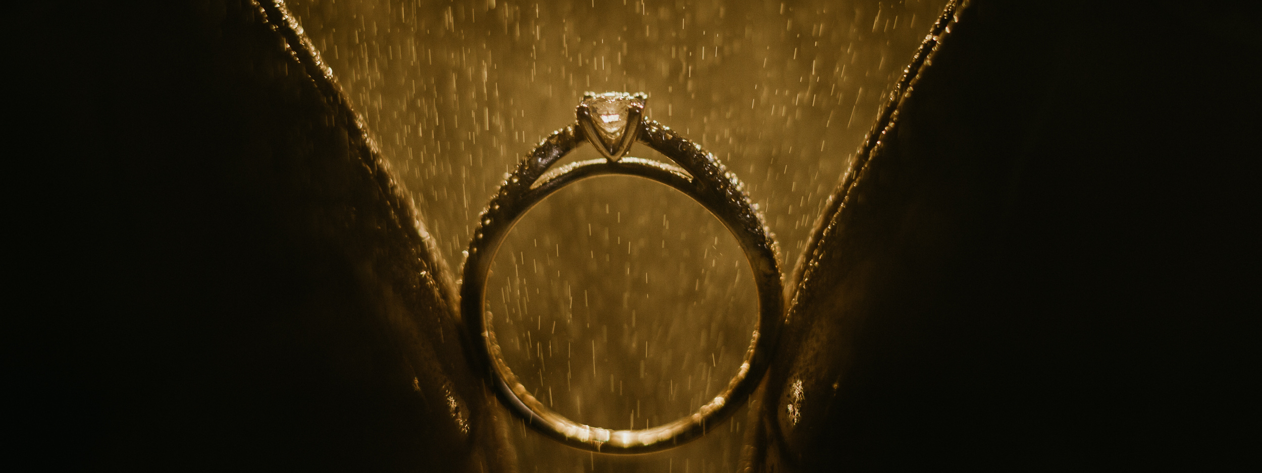 Preise Fotoshooting in Hamburg, Fotograf in Hamburg. Fotografin Hamburg Reinbek Elizaveta Romanova