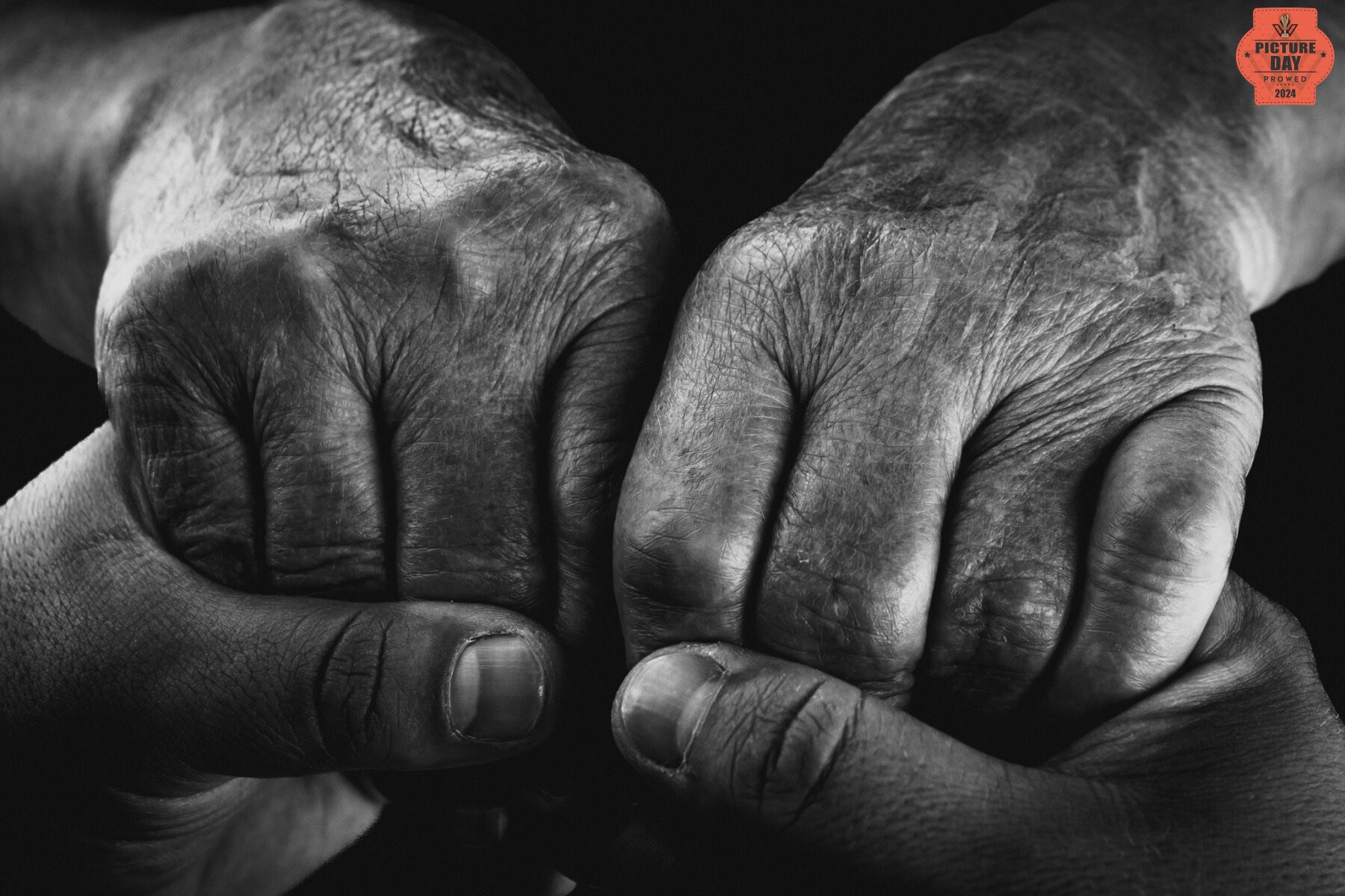 Awards. Stefan Teodorescu — Fotograf de Nunta