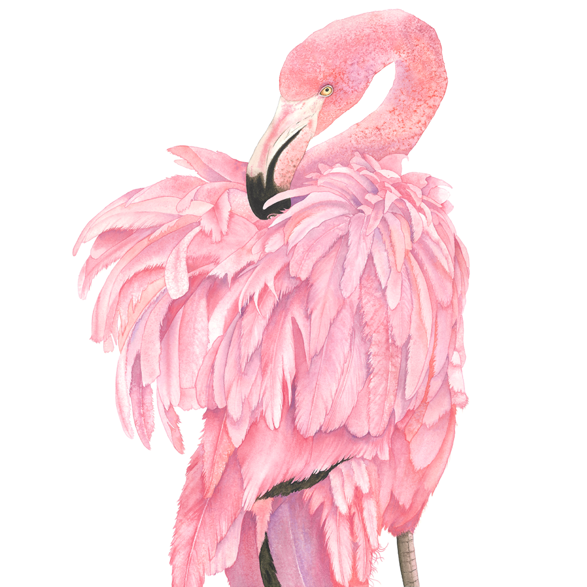 Watercolours. Evgeniia Bychina, painter