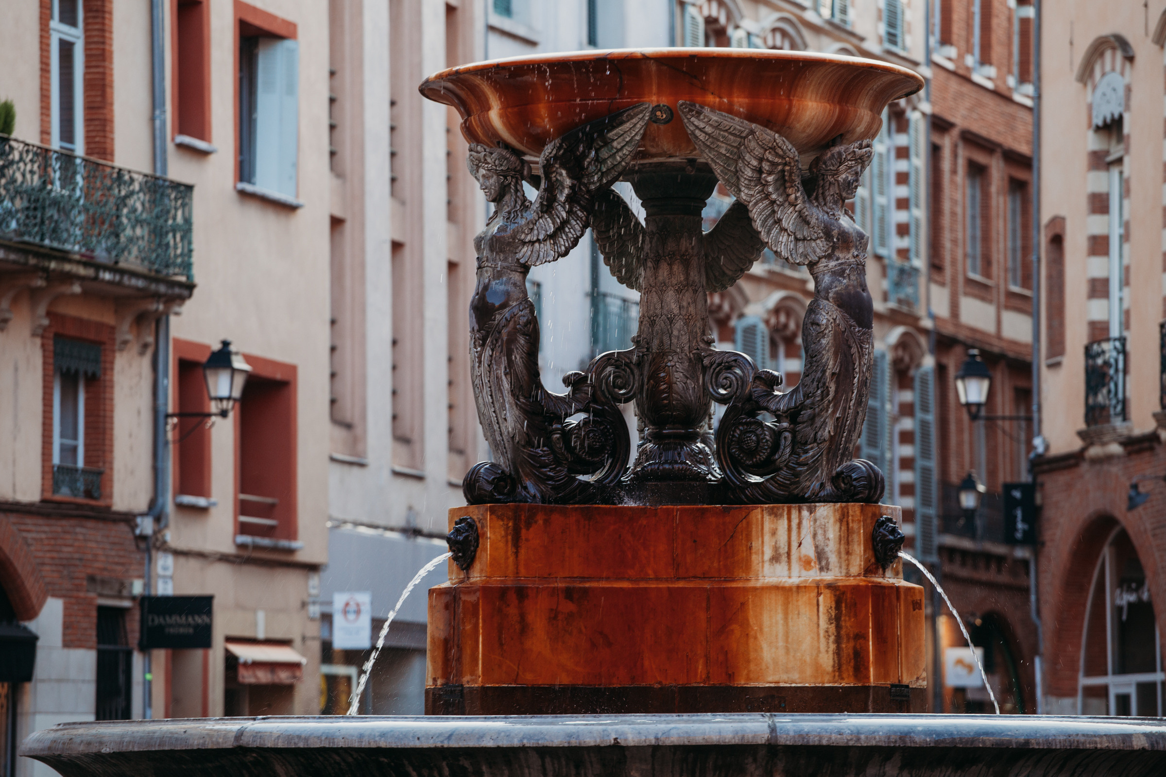 Best photo locations in Toulouse. Евгения Смирнова — Ваш фотограф в Тулузе и на юго-западе Франции
