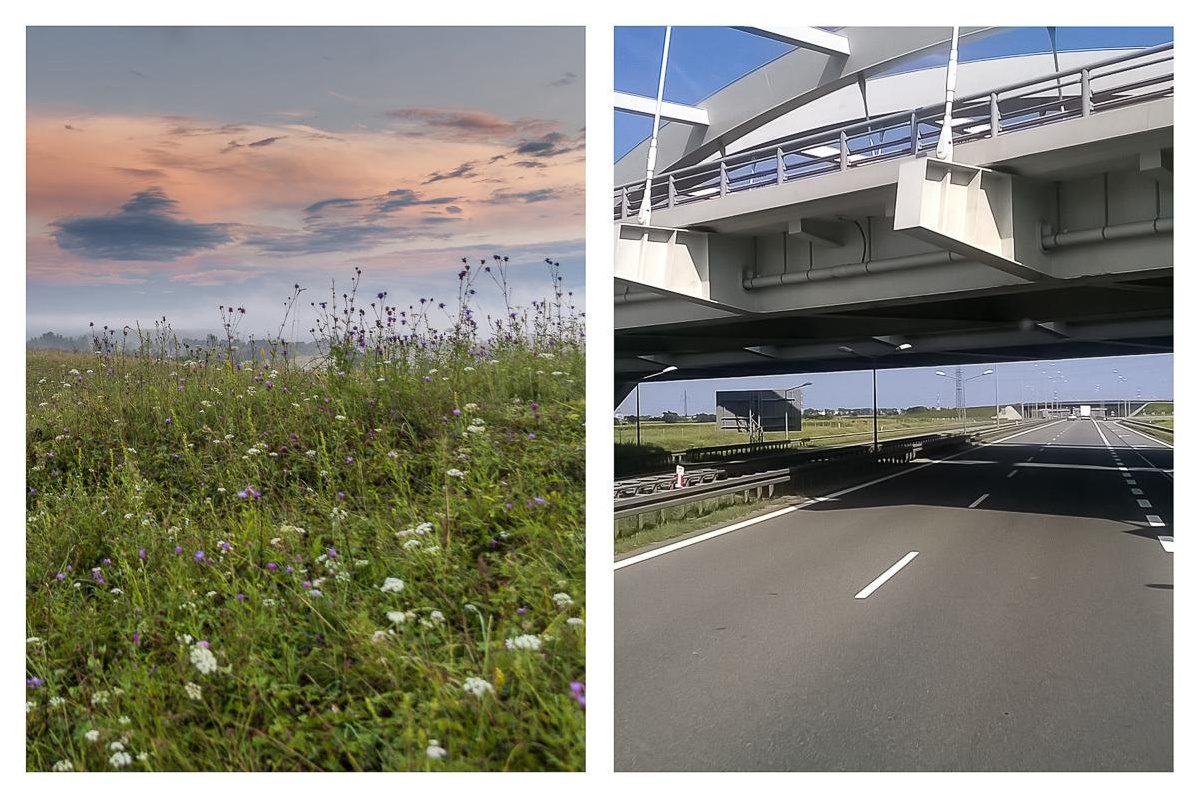 Фотомысли на фильм Андрея Тарковского «Солярис»