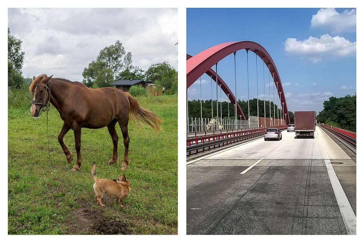 «ОСТАВЛЕННЫЙ» — город Припять после аварии на Чернобыле. Фотограф, коллекционер винтажных открыток и создатель историй на пересечении прошлого и личного. Ирина Дайнакова