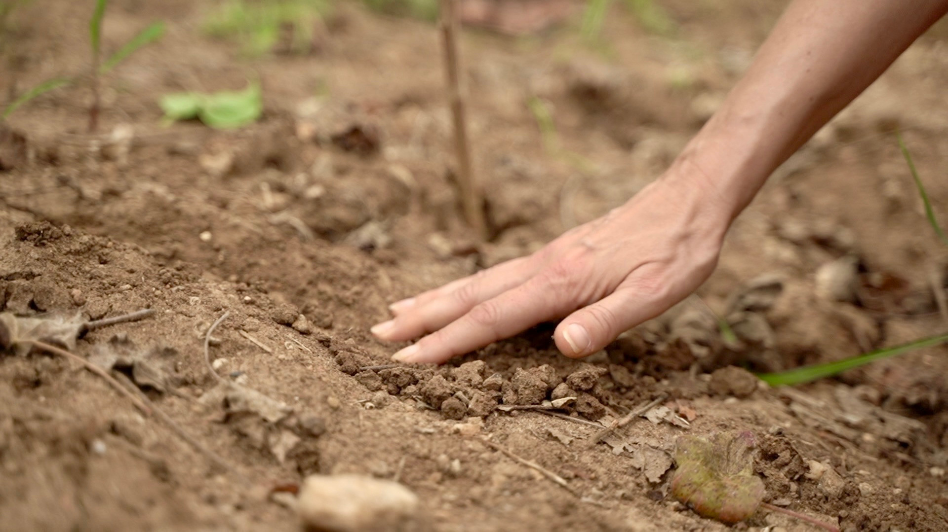 Annecy Film — Videography, Vidéaste Kate CRAMON in Annecy and Geneva