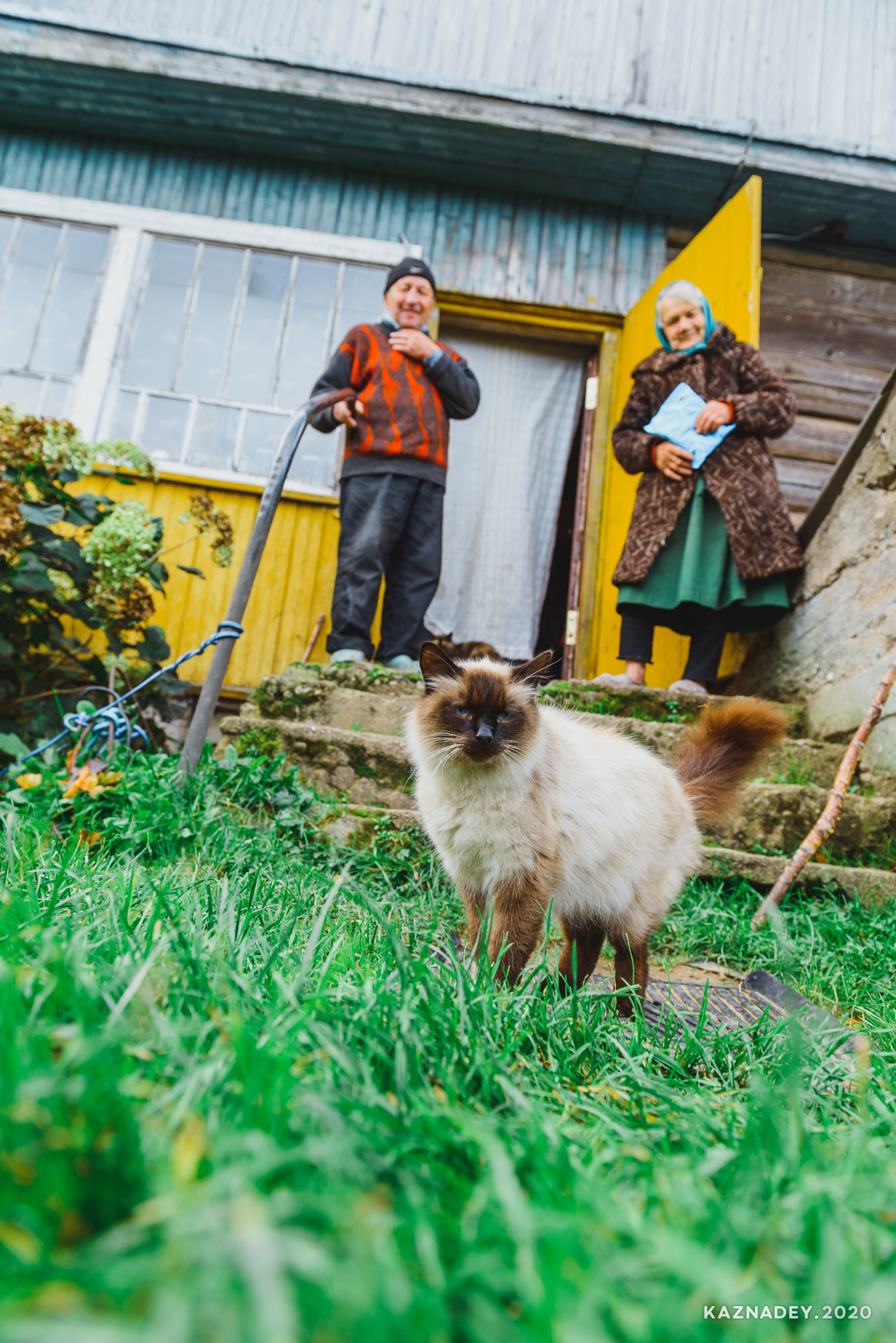 Дорога тишины, Алексей Казнадей, kaznadey