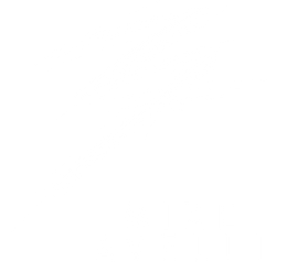 avellimedia.com