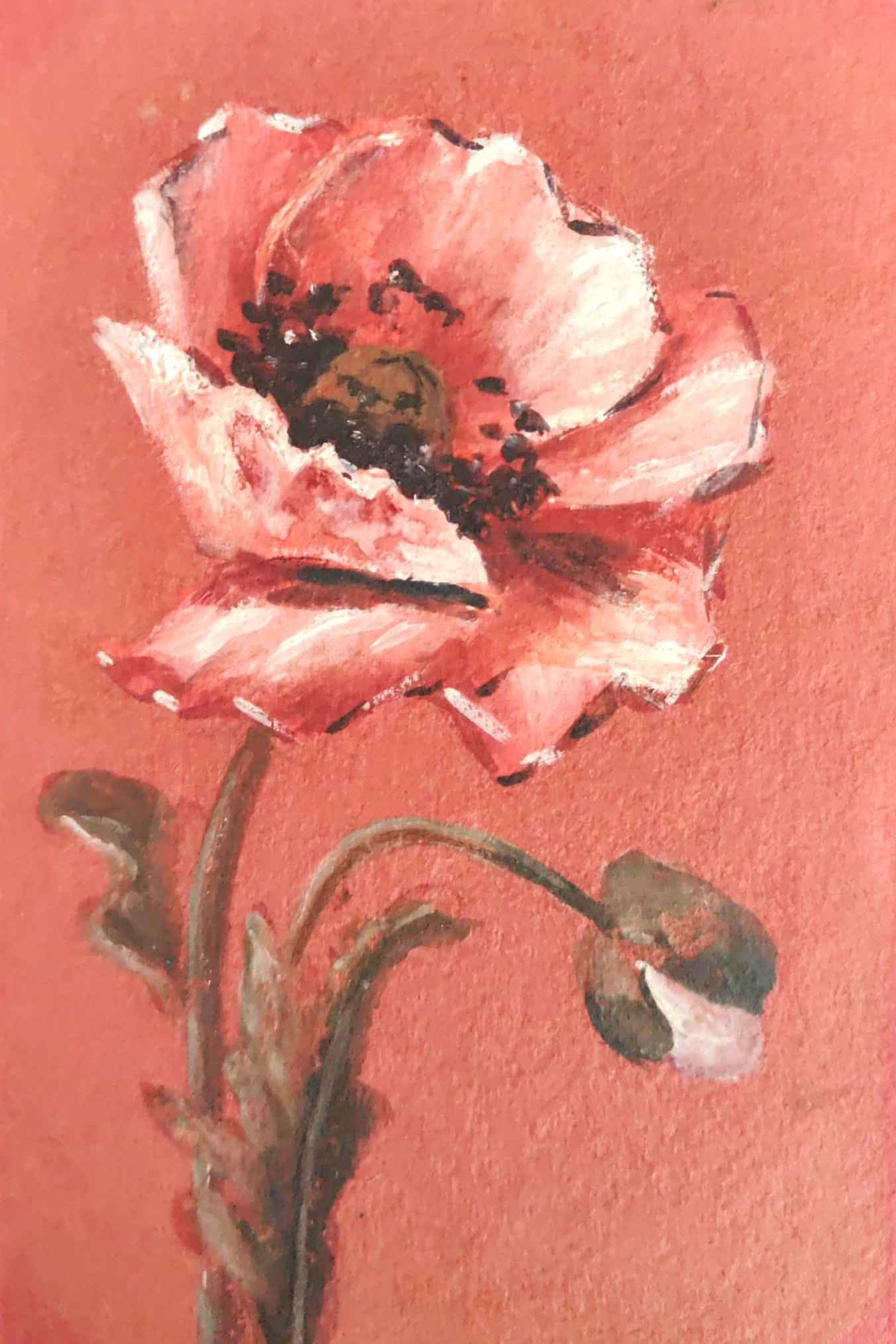 Handmade postcard art: vintage botanical. Photographer, collector of vintage postcards, and creator of stories at the intersection of the past and the personal. Irina Dainakova