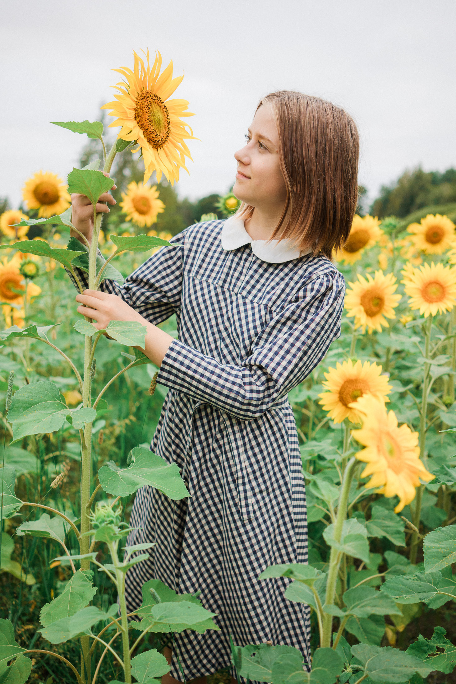 Lapsikuvaus auringonkukkapellolla