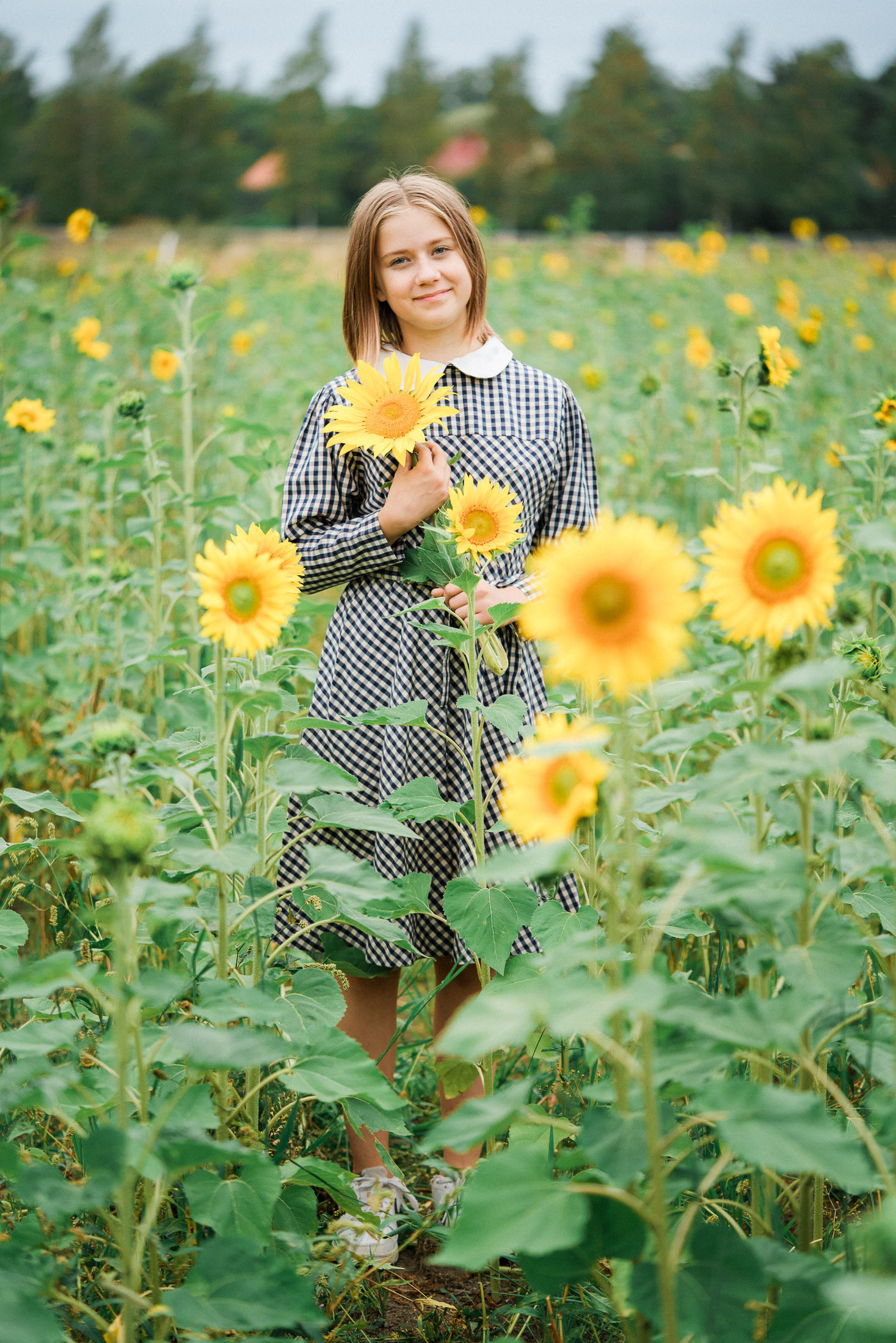 Lapsikuvaus auringonkukkapellolla