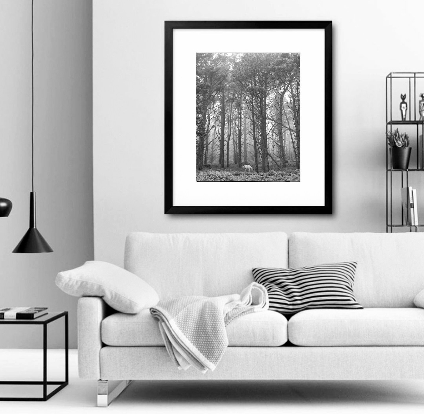 Associaciò cultural La Granja Alcoy España