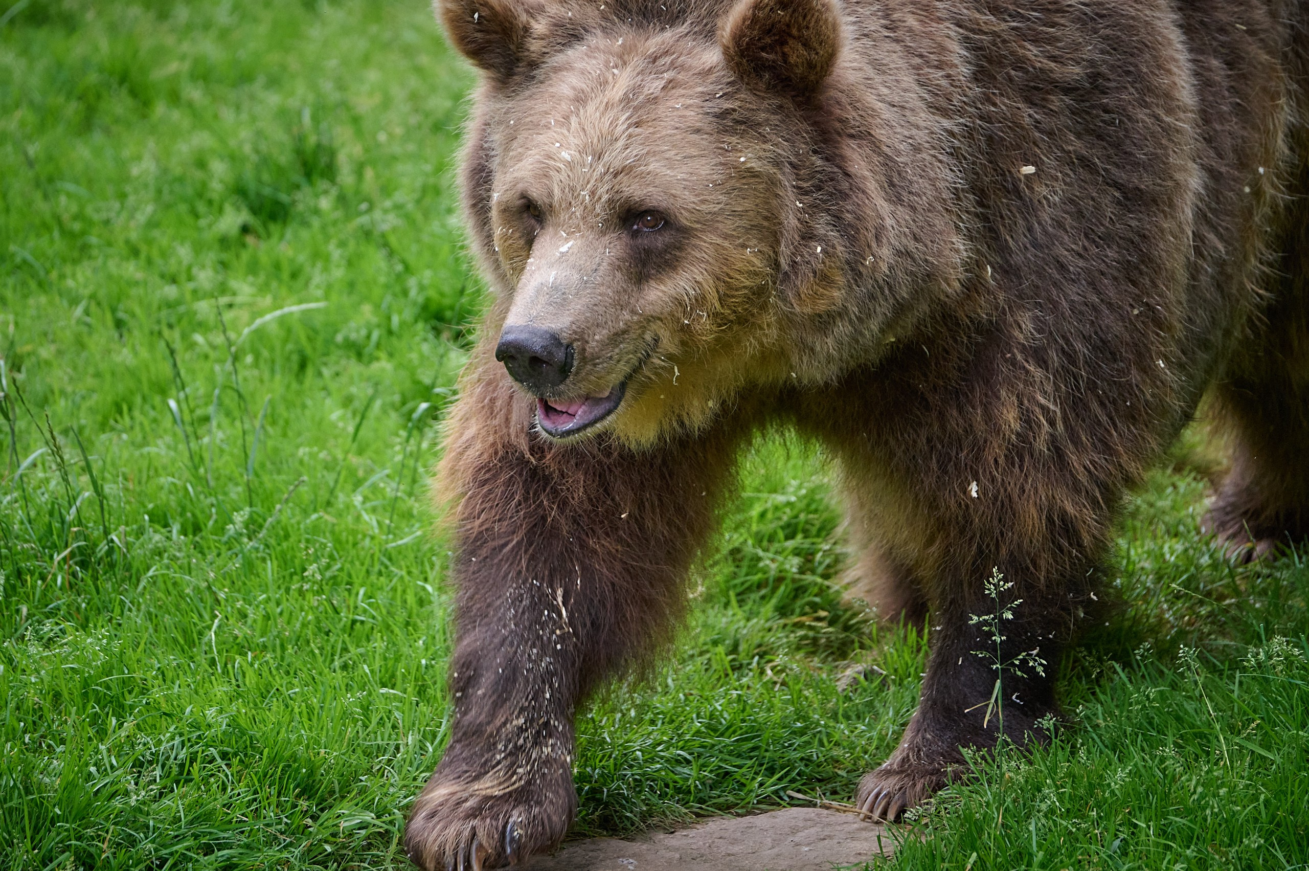 Visit Skånes Djurpark. Yuri Popkov | Photographer