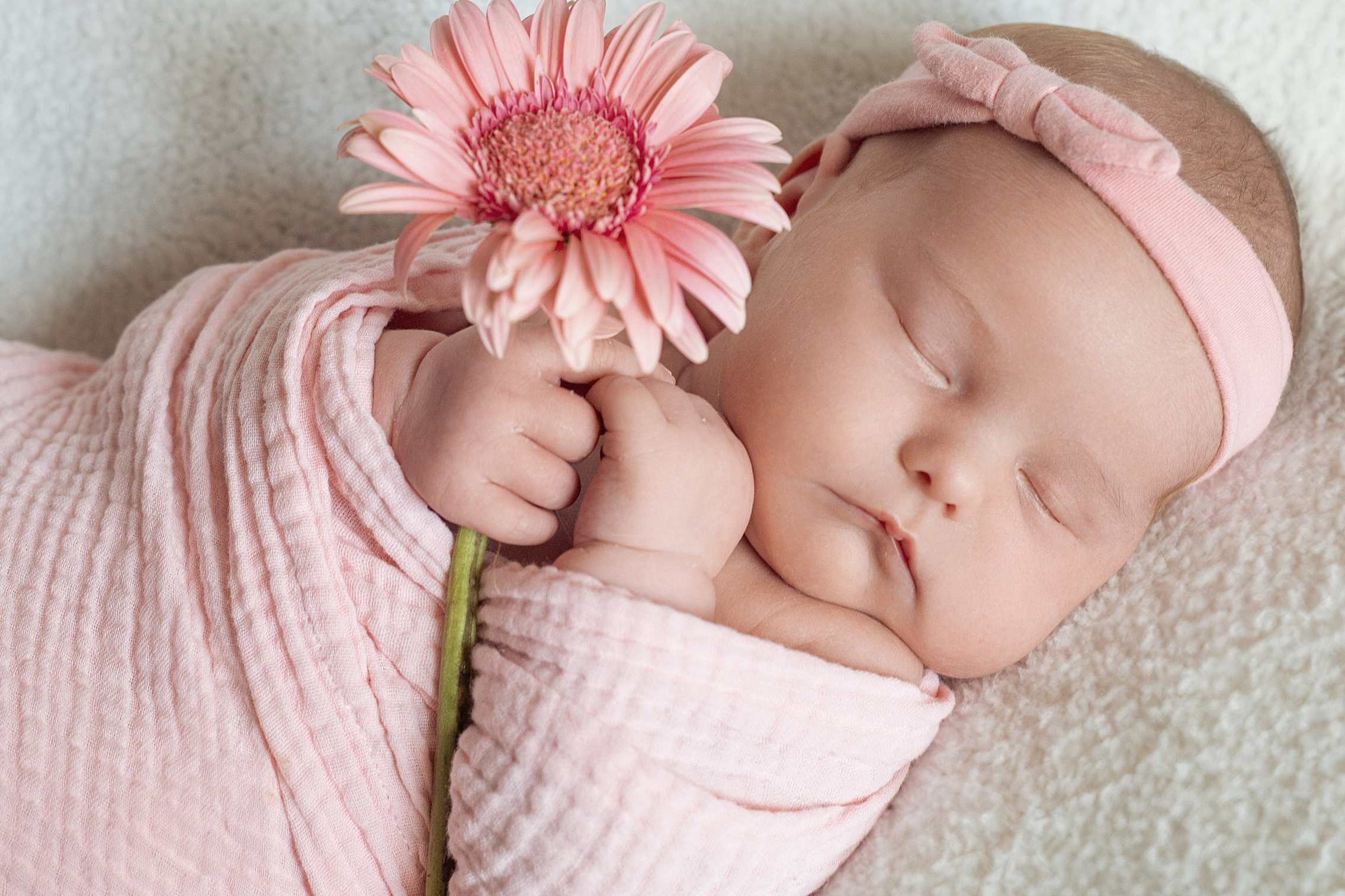 Bébé fille emmaillotée en rose tenant une fleur, portrait poétique de nouveau-né