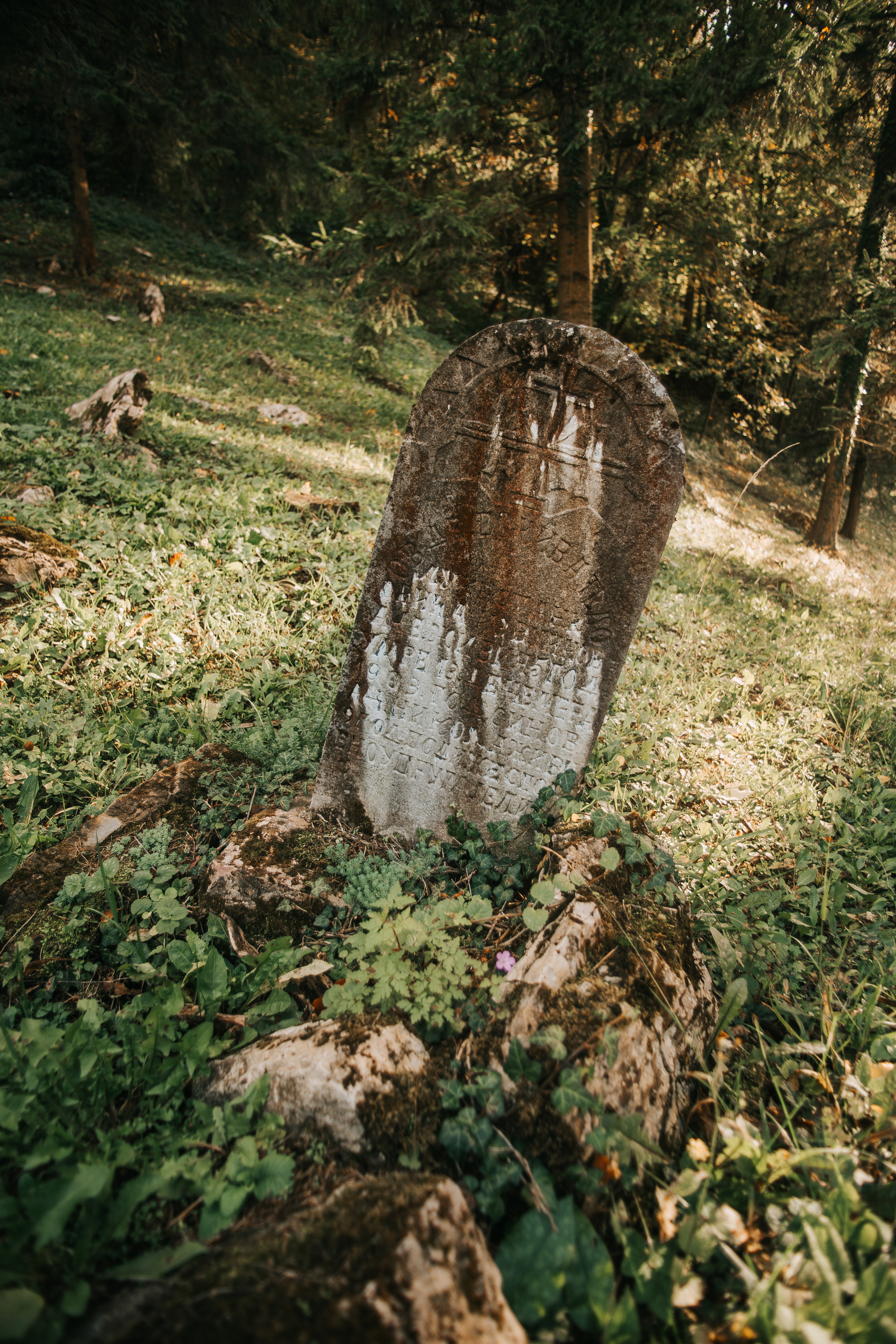 Potraga za svojim korenima. Mark Smilyanic | Portretni boudoir fotograf iz Beograda