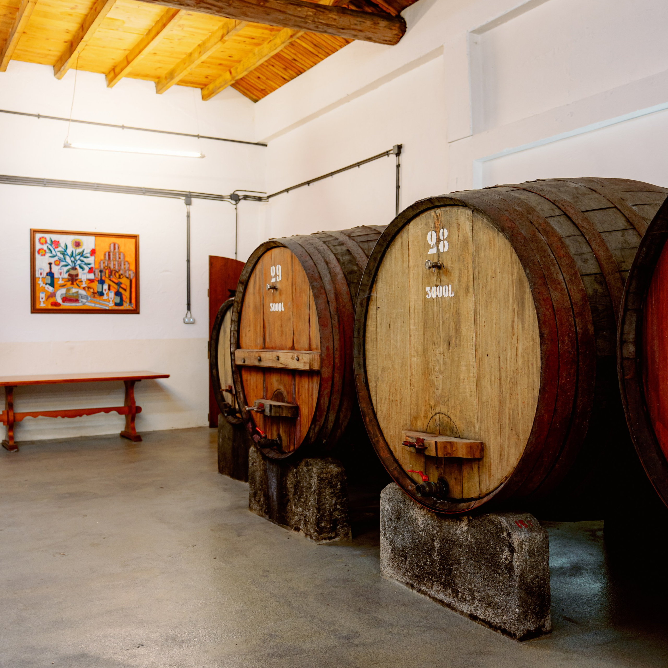 Семейная винодельня в Байрраде, Португалия