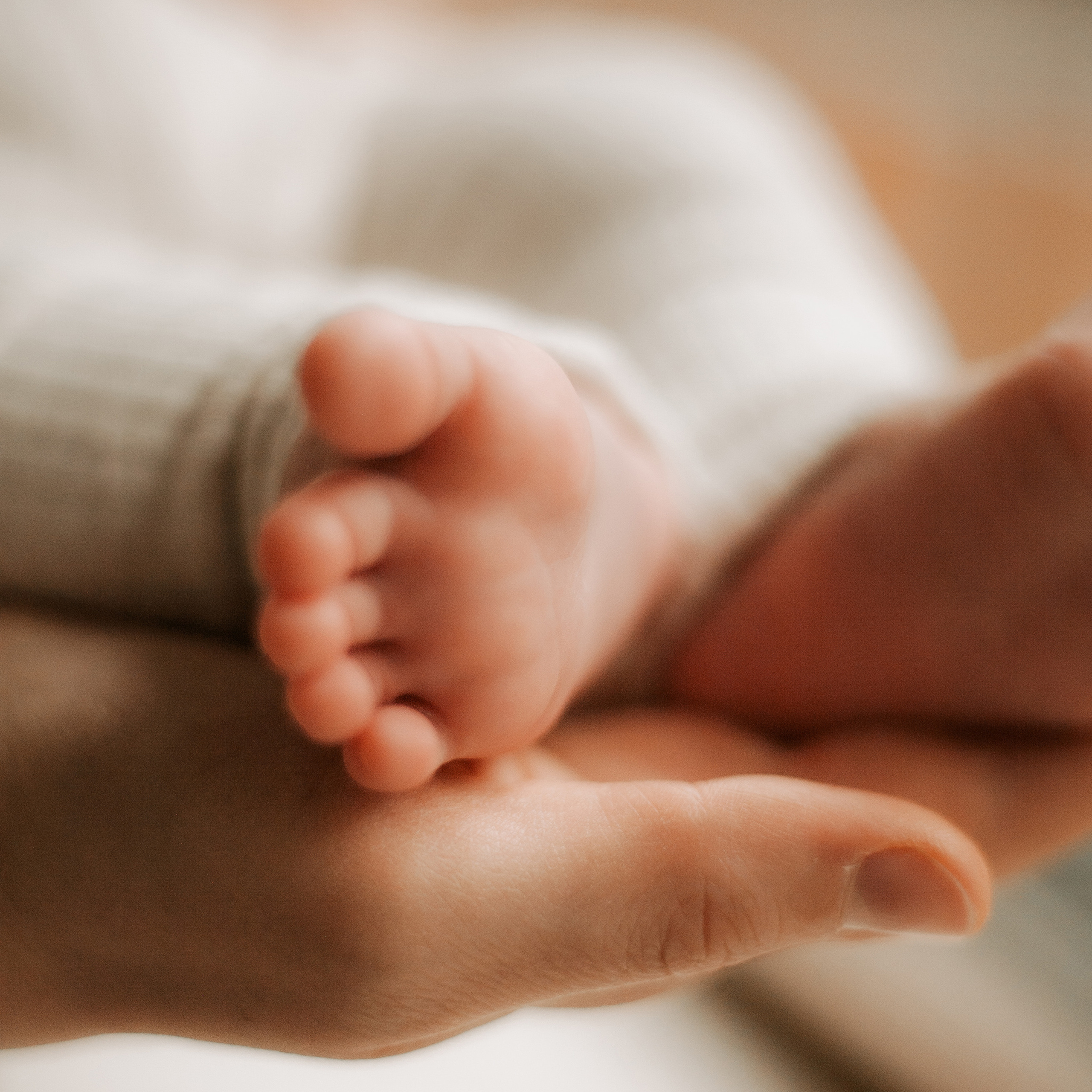 Lara Ilin Photography