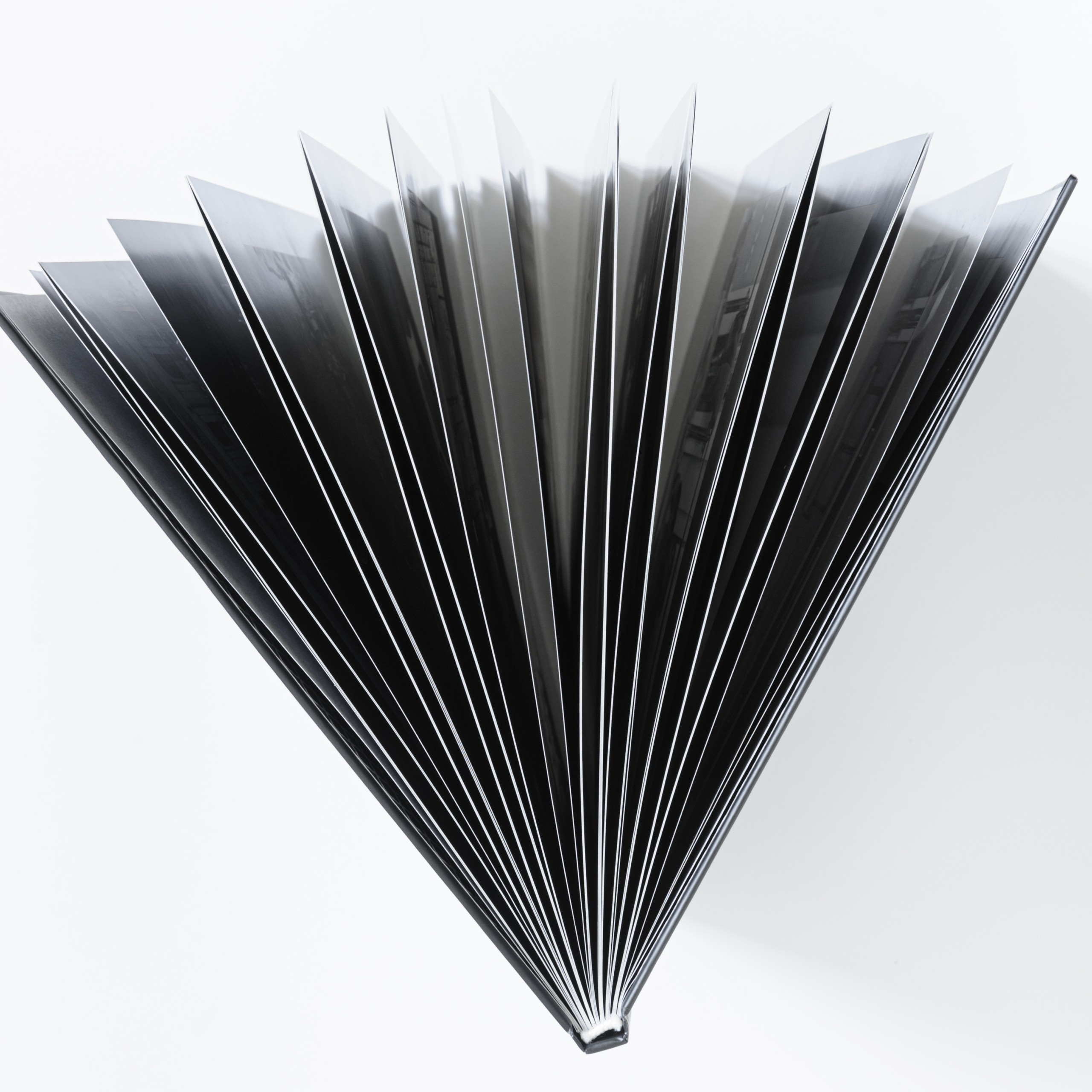 Балет. Фотоальбом Мгновения Валентина Елизарьева