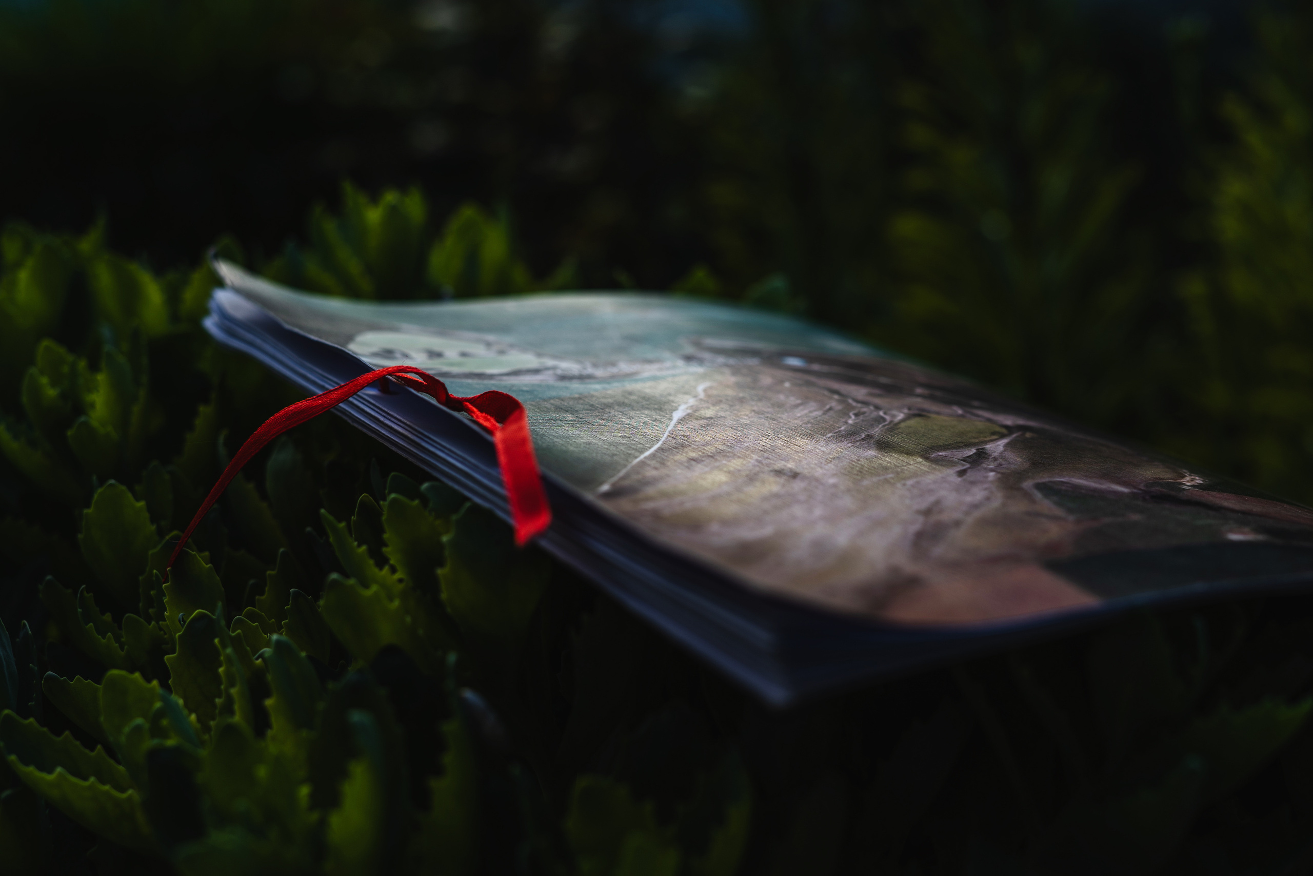 Books. Междисциплинарный художник, фотограф