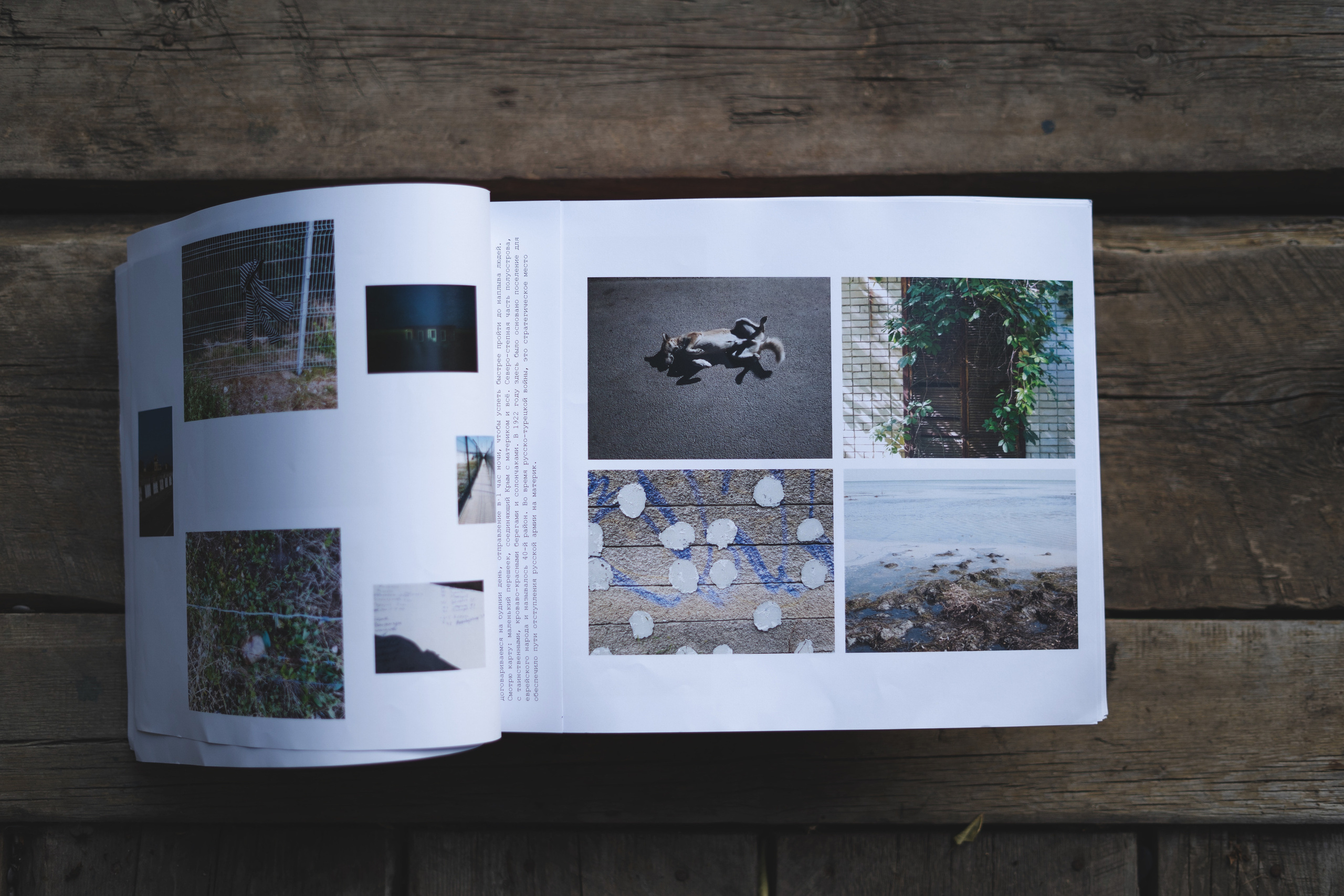 Books. Междисциплинарный художник, фотограф