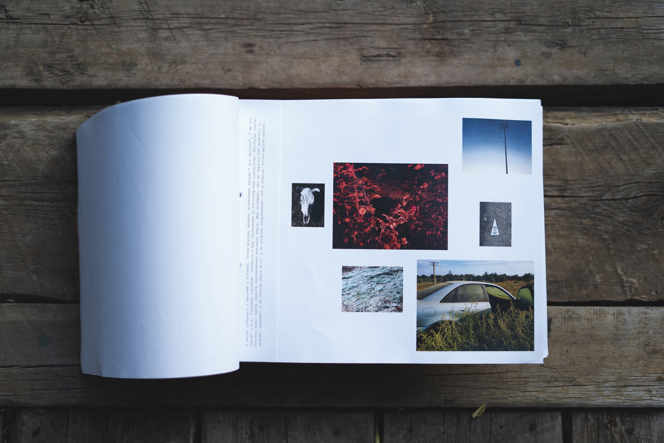 Books. Междисциплинарный художник, фотограф