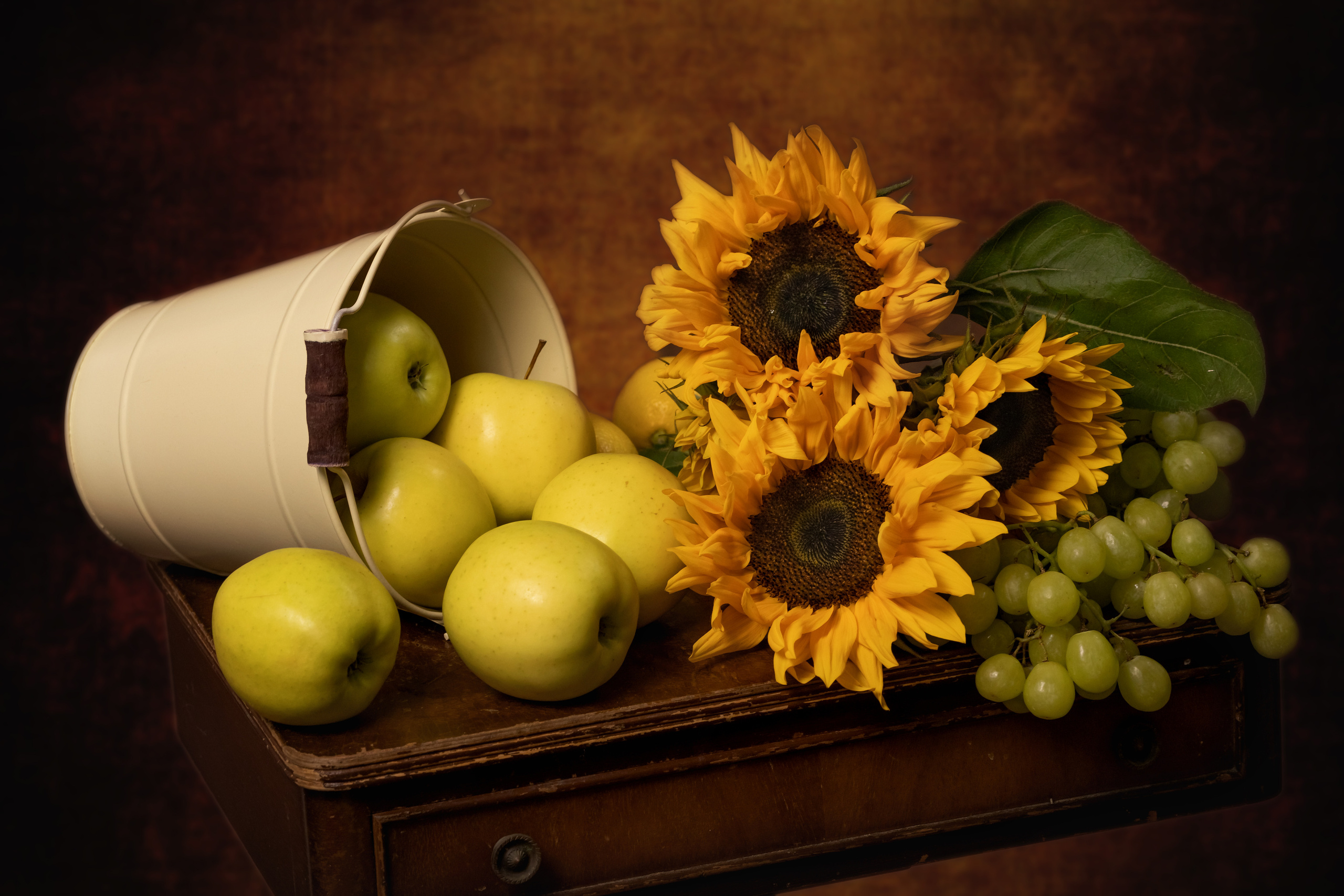 Контакты. Семейный и детский фотограф в Лондоне (Кент) Наталья Биндере