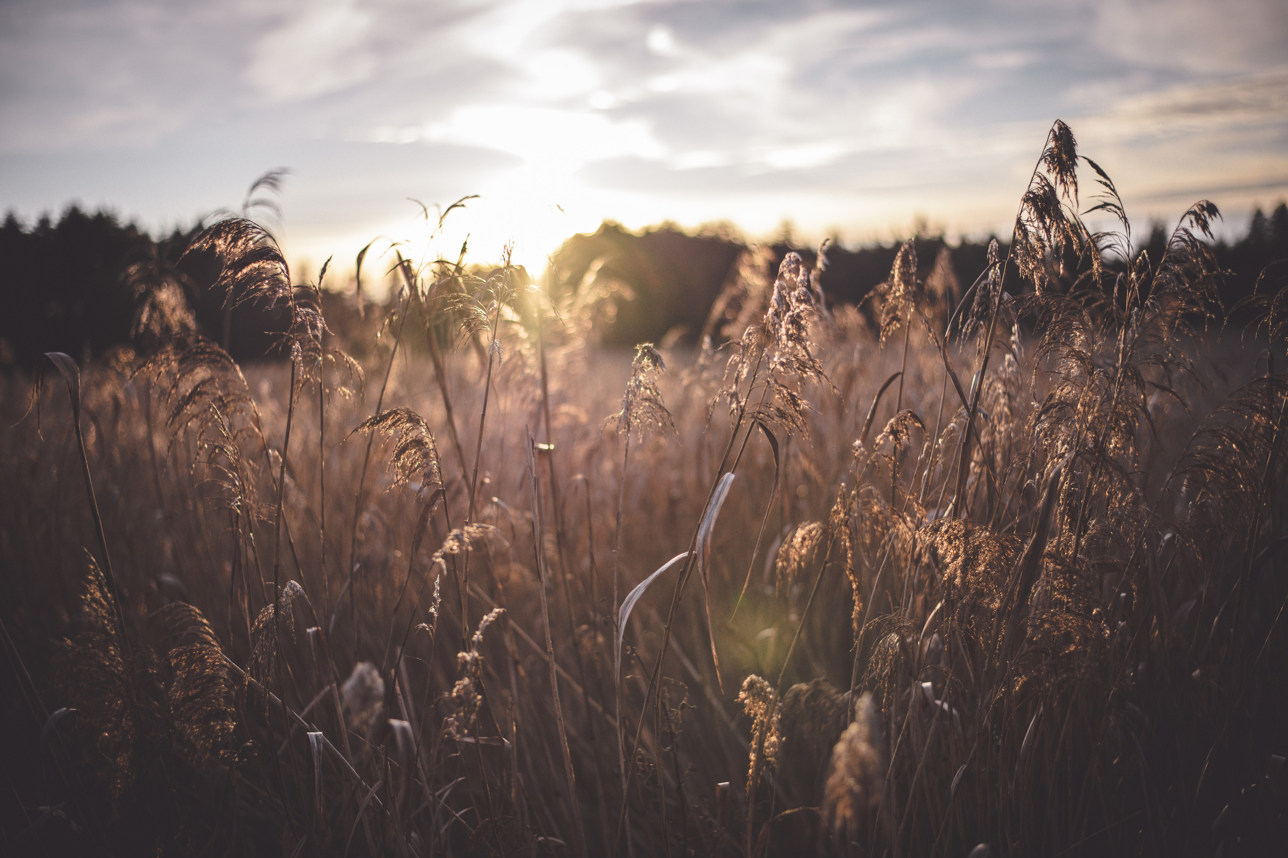 Ich bin Max, Designer, Art & Hochzeitsfotograf aus Germaringen