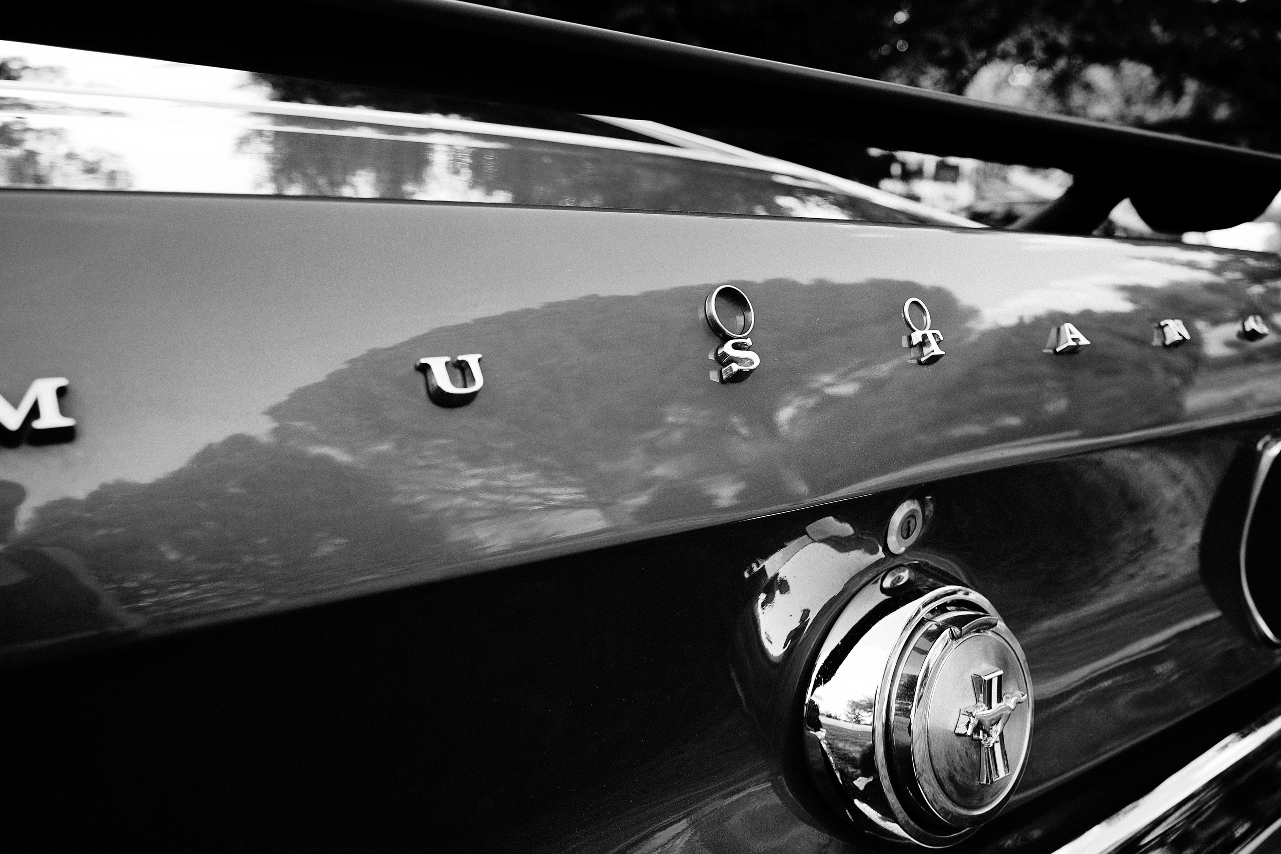 Contact Photographe Mariage Toulouse. Photographe de mariage à Toulouse