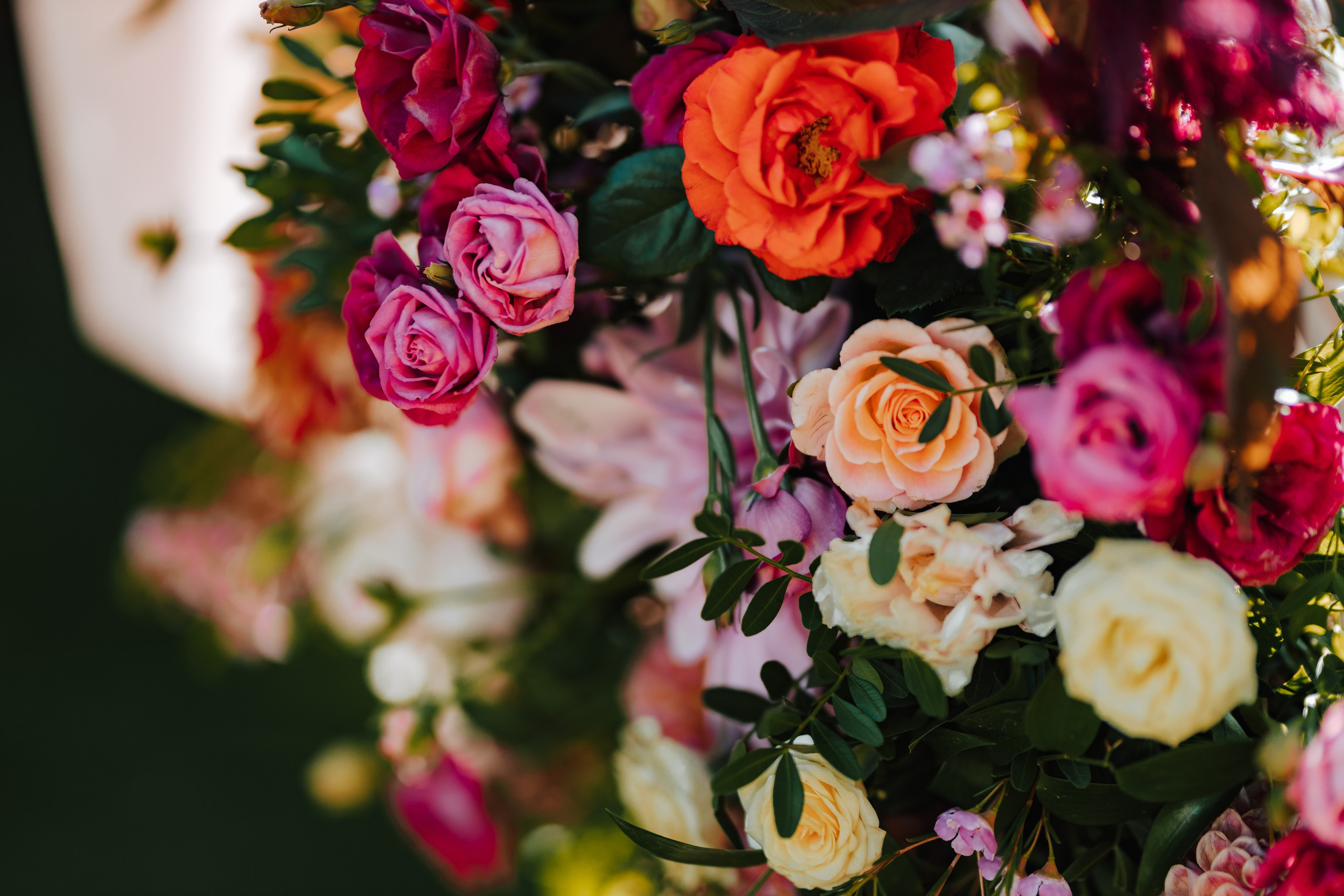 Kasia i Karol powiedzieli sobie TAK ❤. Fotograf Siedlce