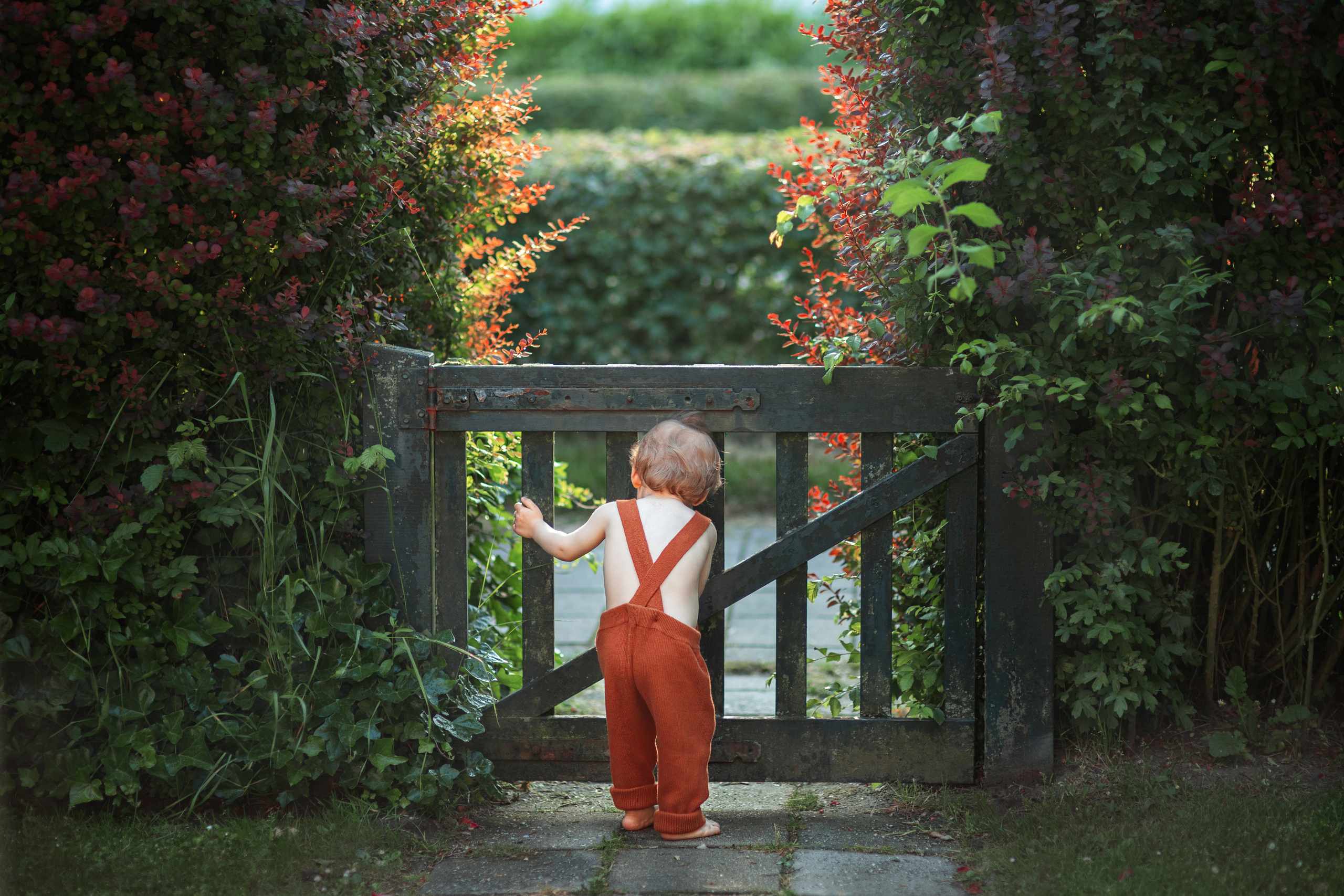 Fine Art photographer in Luxembourg Anastasia Arend